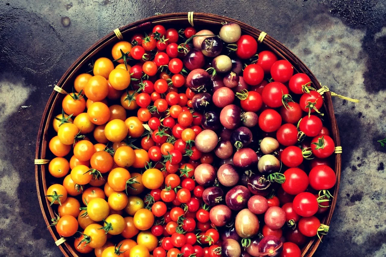 Cherry-tomatoes.jpg