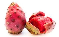 cactus pear.jpeg