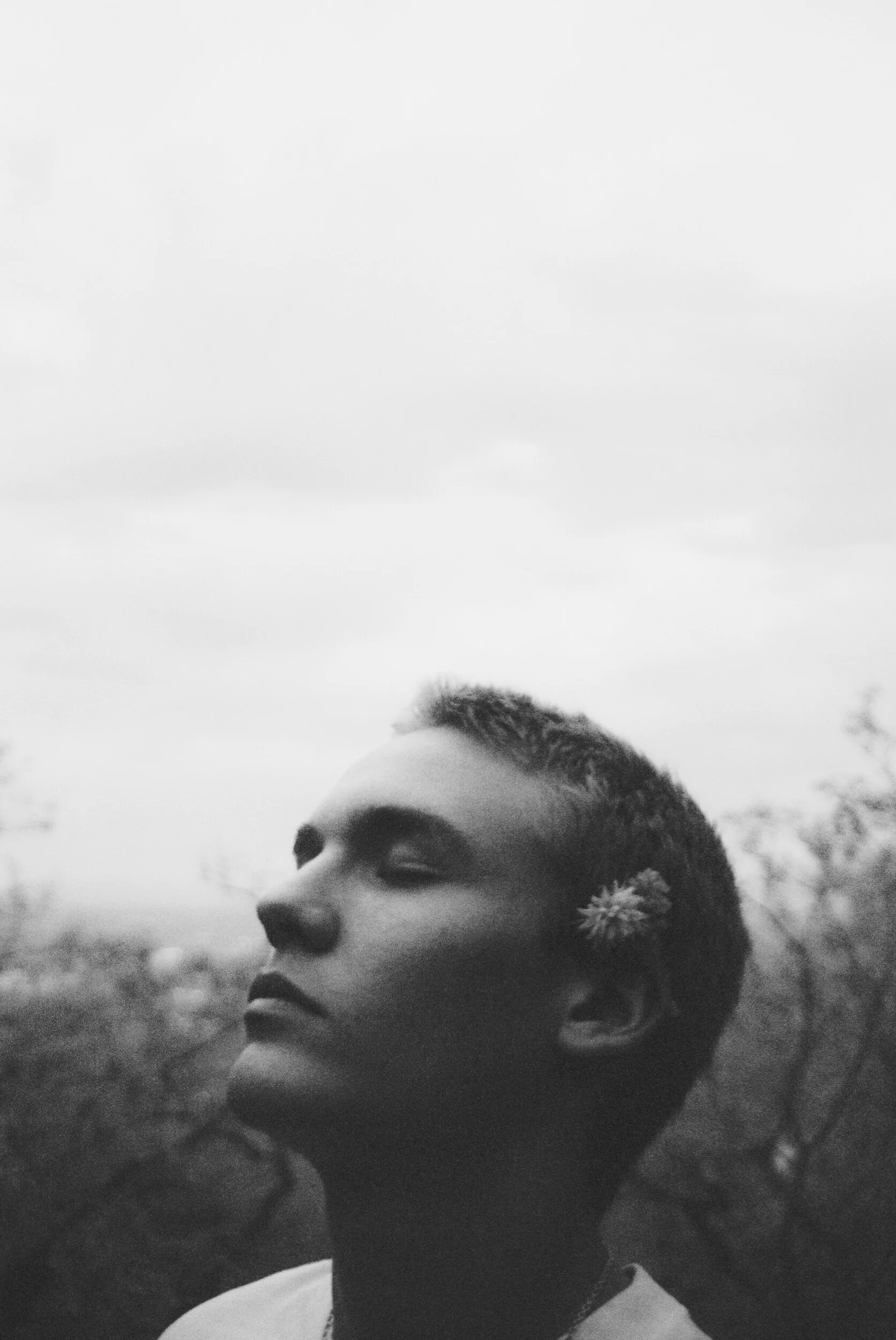 Collier006189-R1-026-11A.jpeg