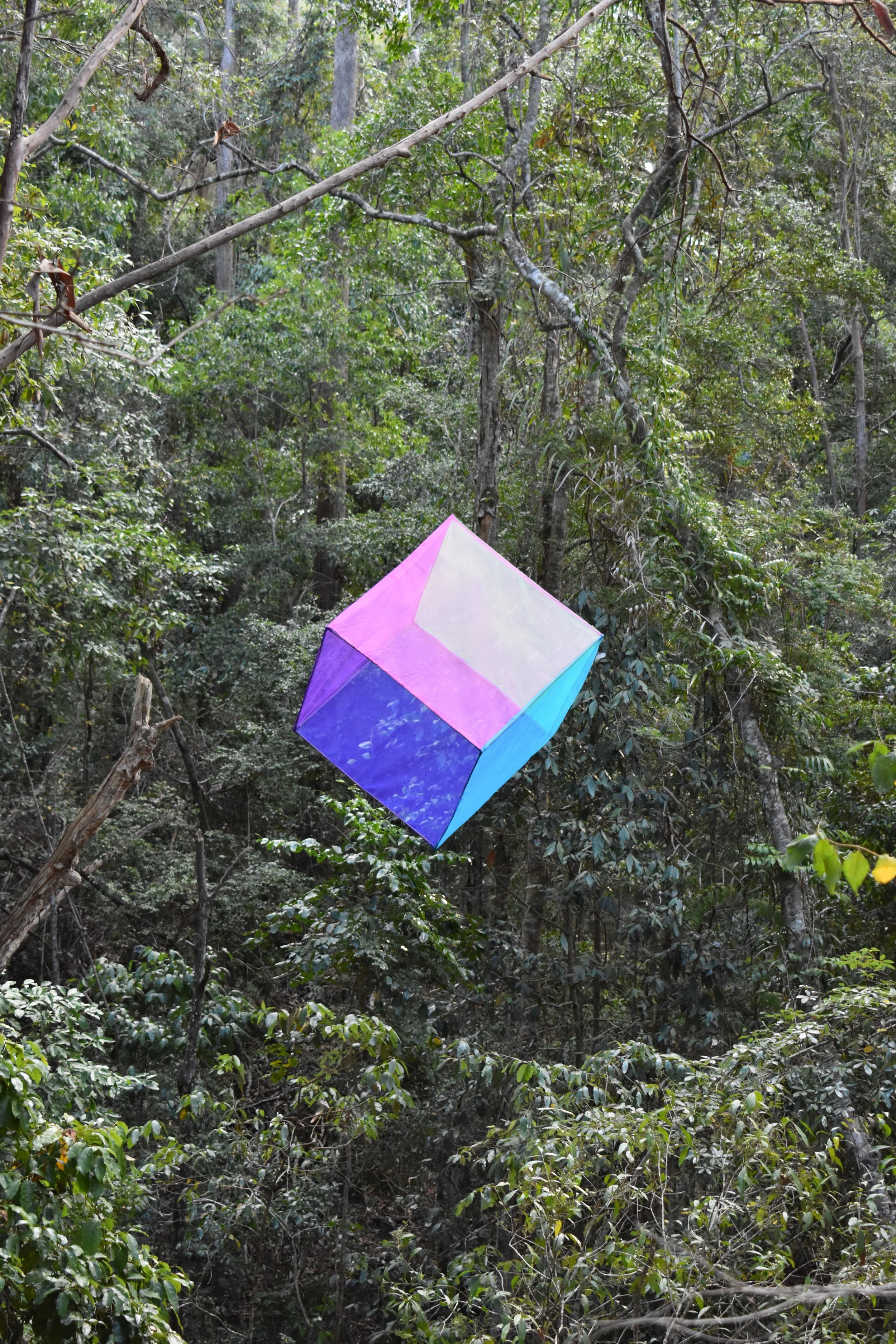 DSC_0301.JPG