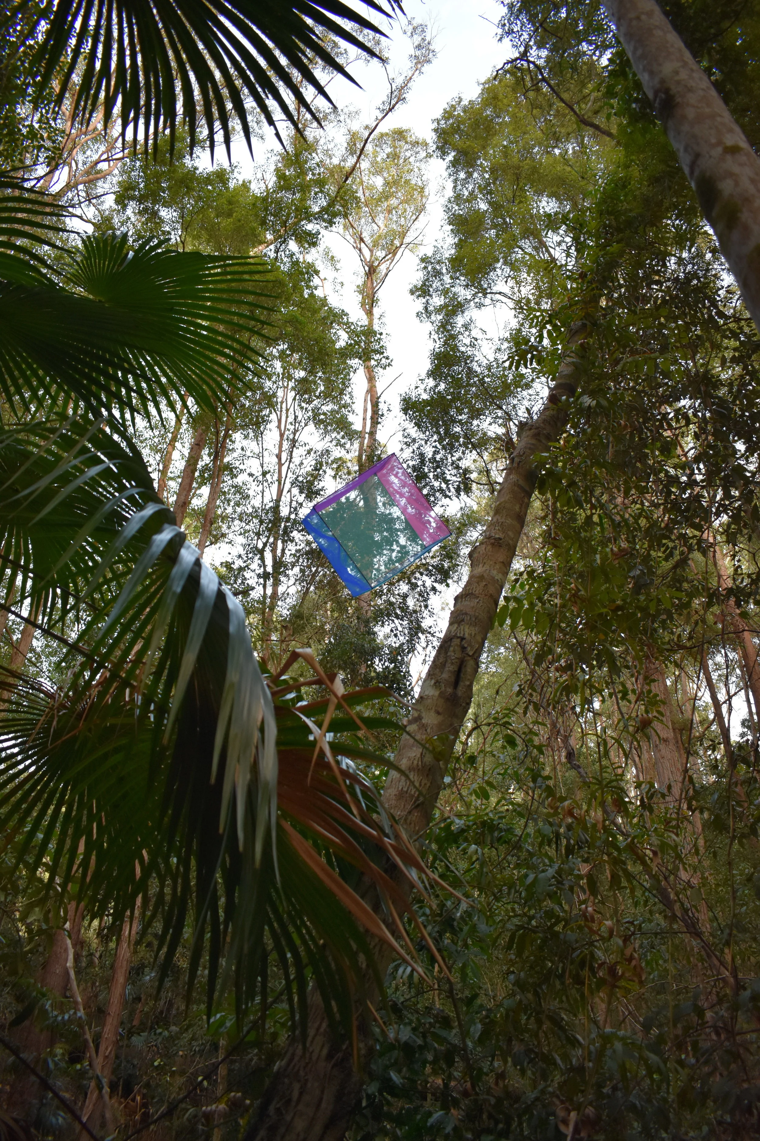 DSC_0310.JPG