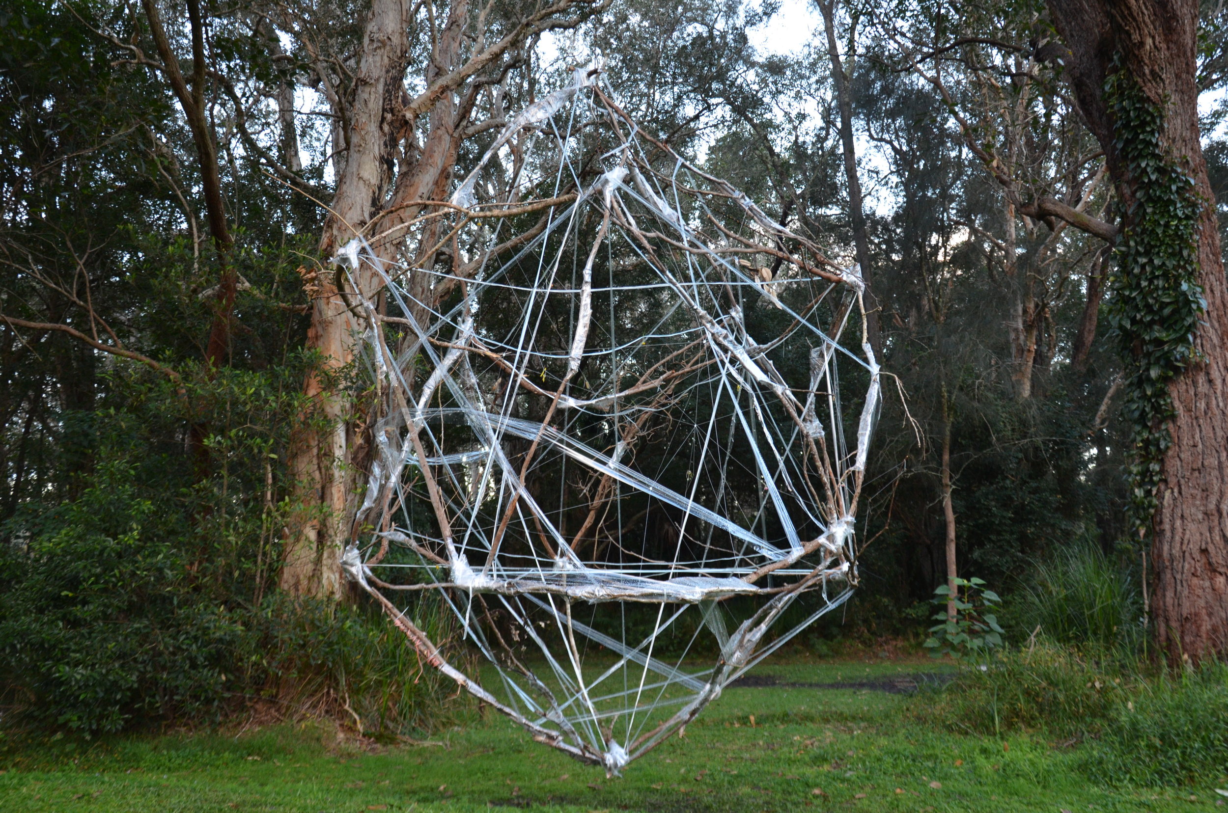 DSC_7049.JPG