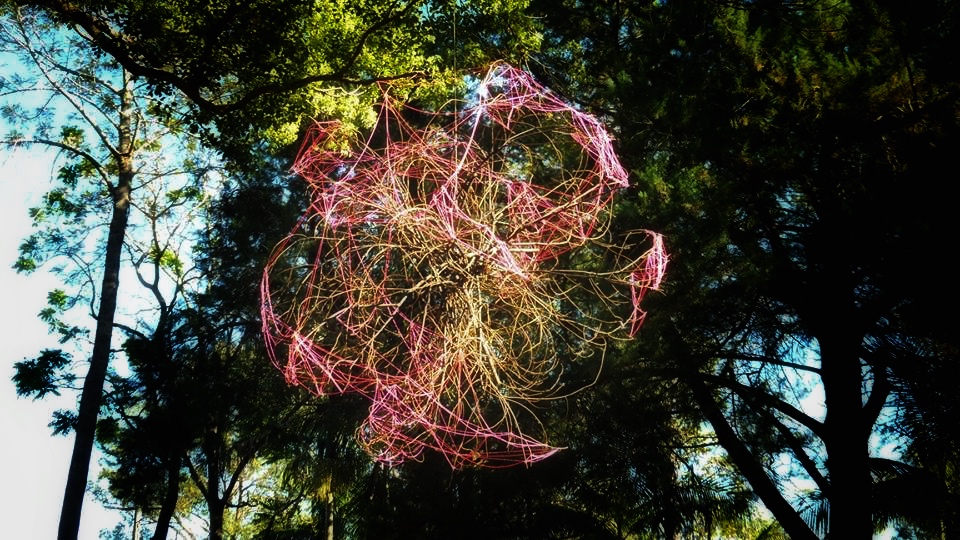 Untitled (Nimbin Pink) = Papillon 2018.JPG