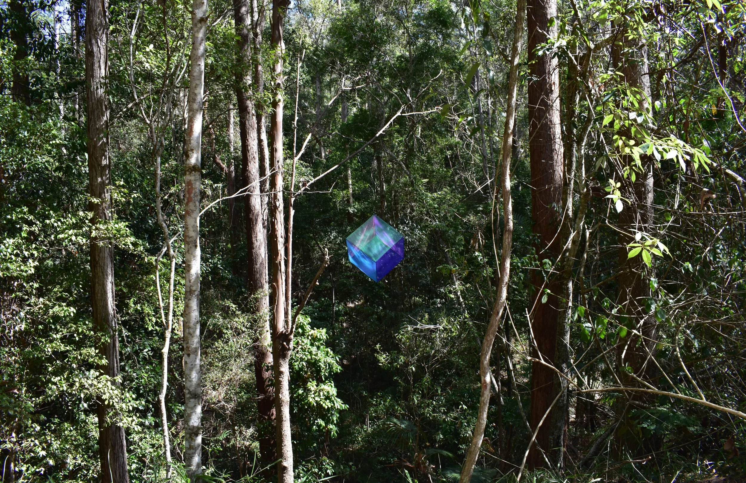 DSC_0431 crop.jpg
