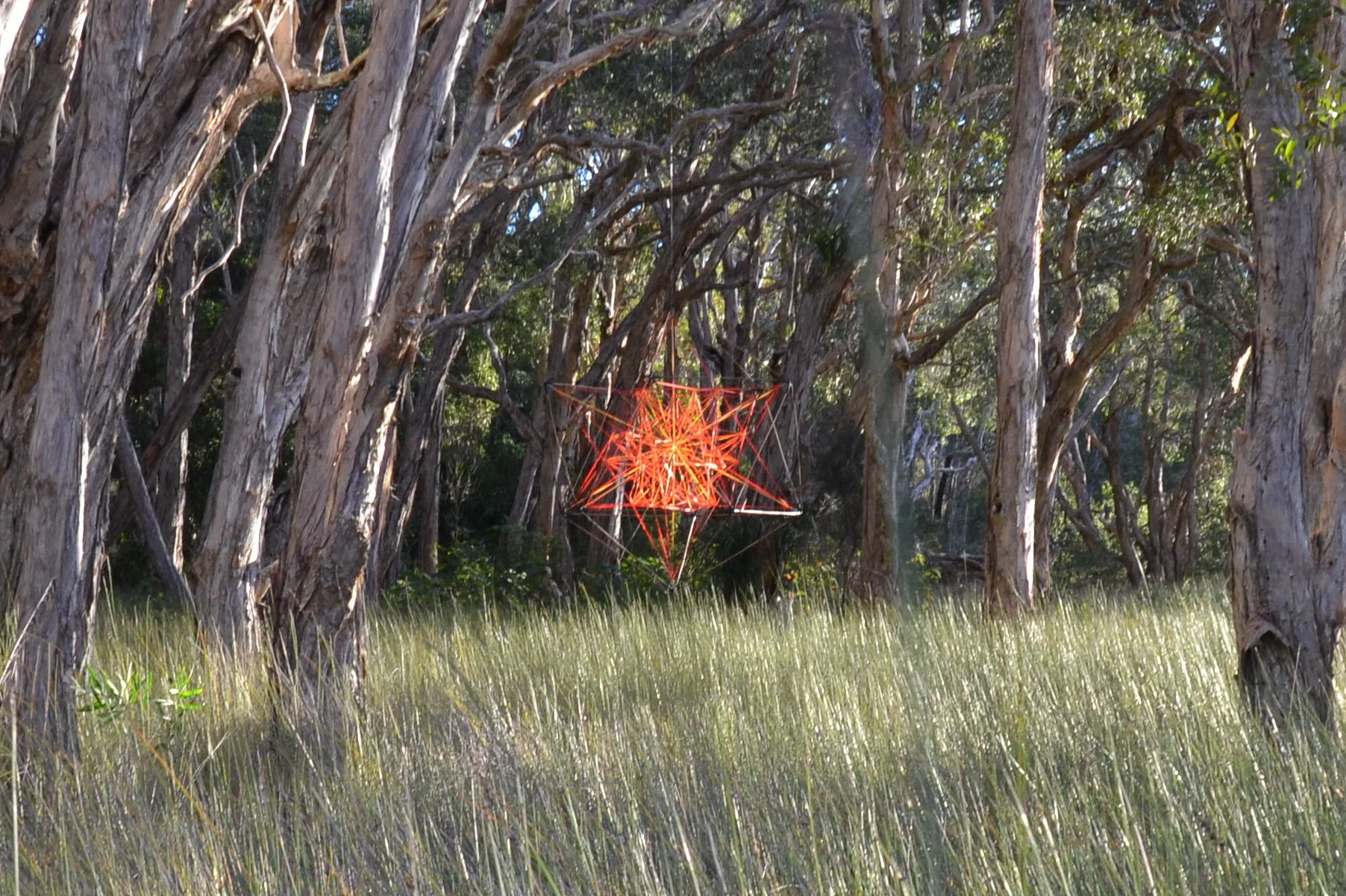 DSC_6959 crop.jpeg