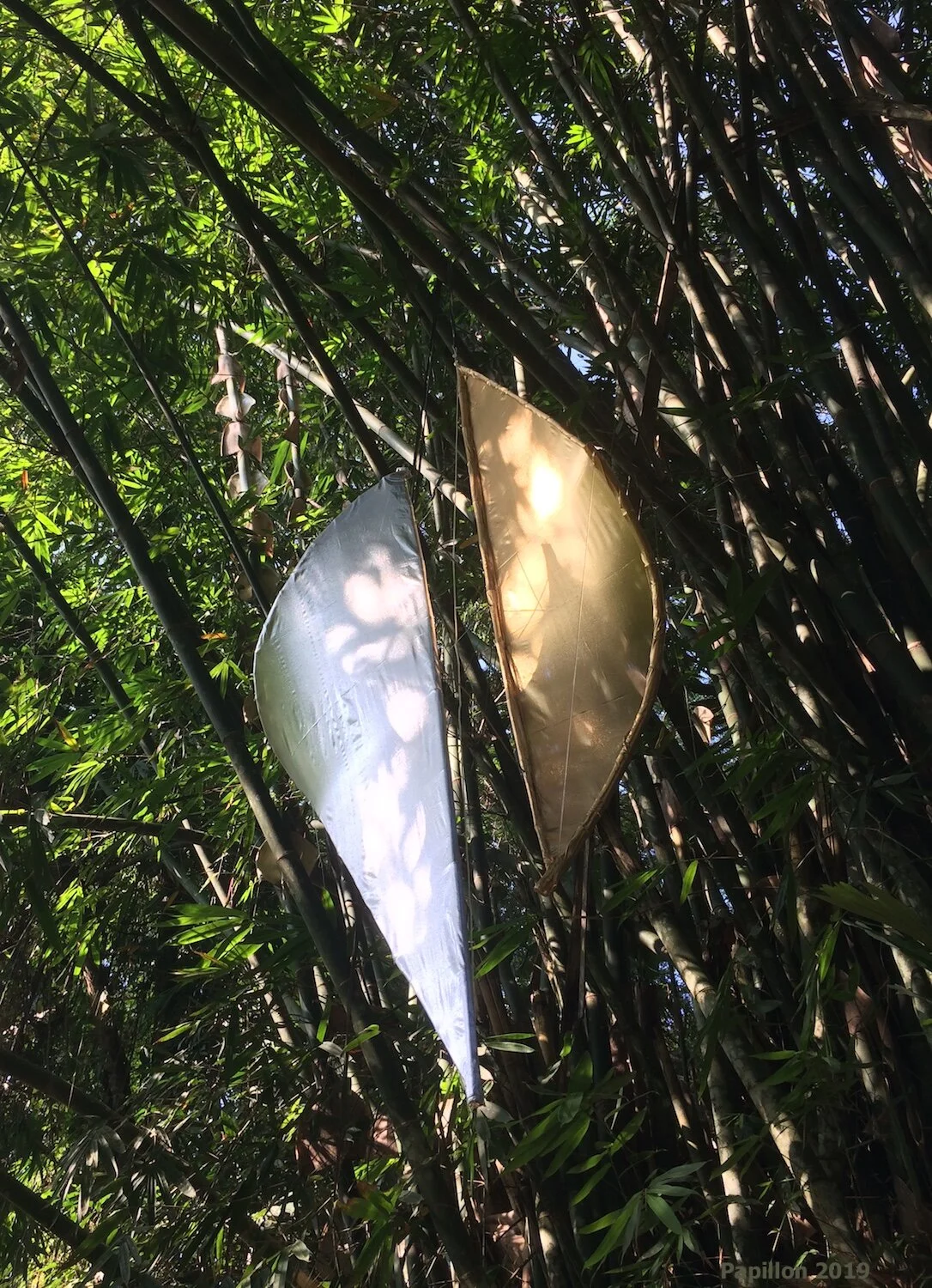 Sun & Moon 2- Papillon 2019.jpg