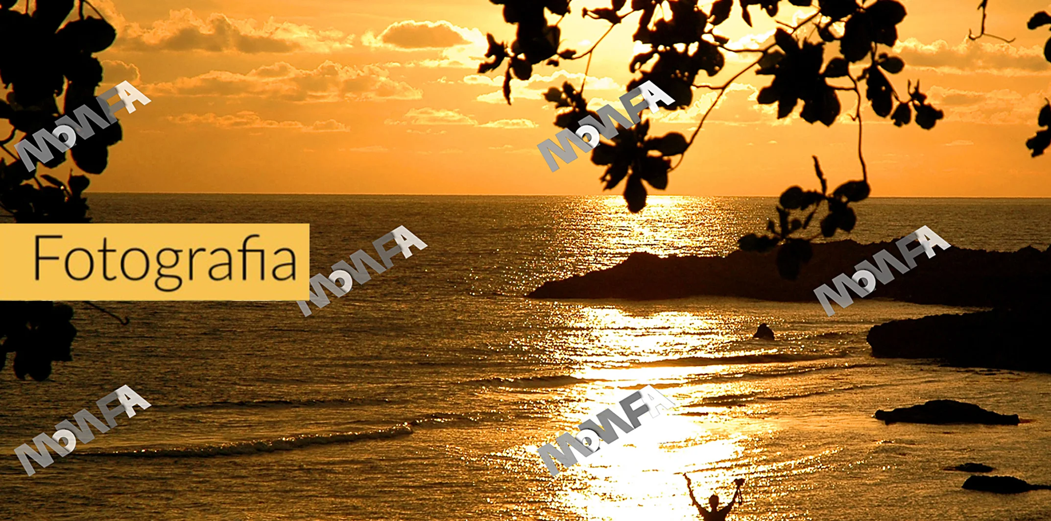 Fotografia Banner.jpg