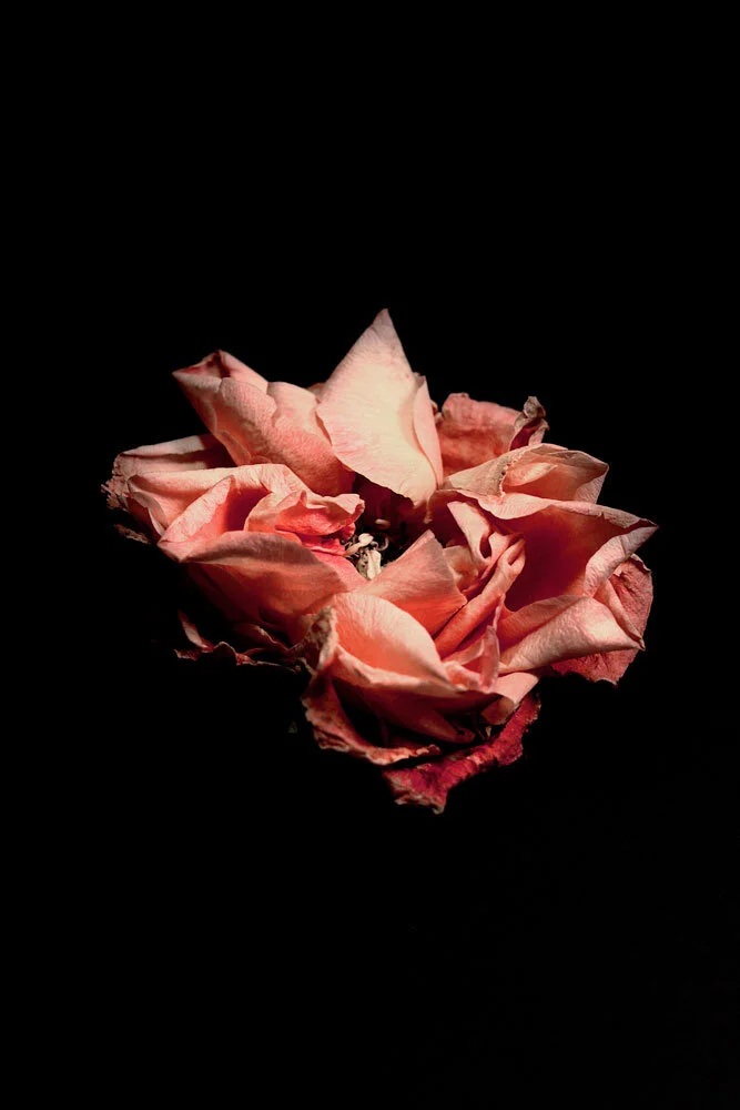 Blomst_01.jpg