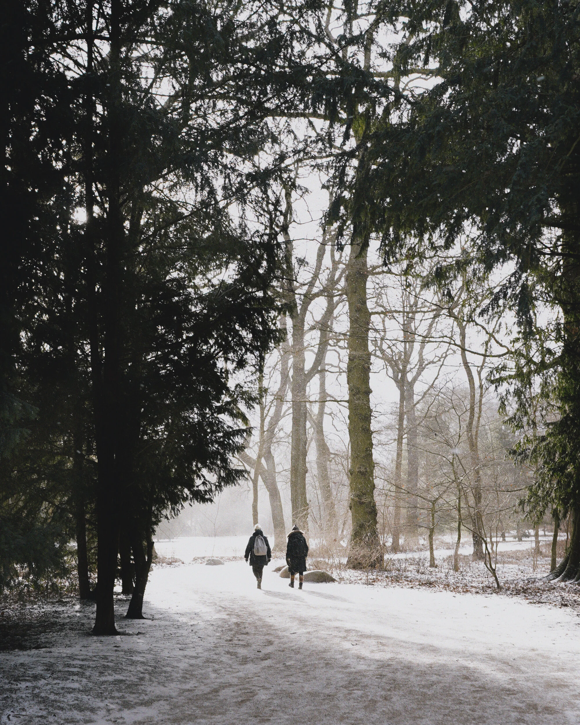 3(2000).jpg