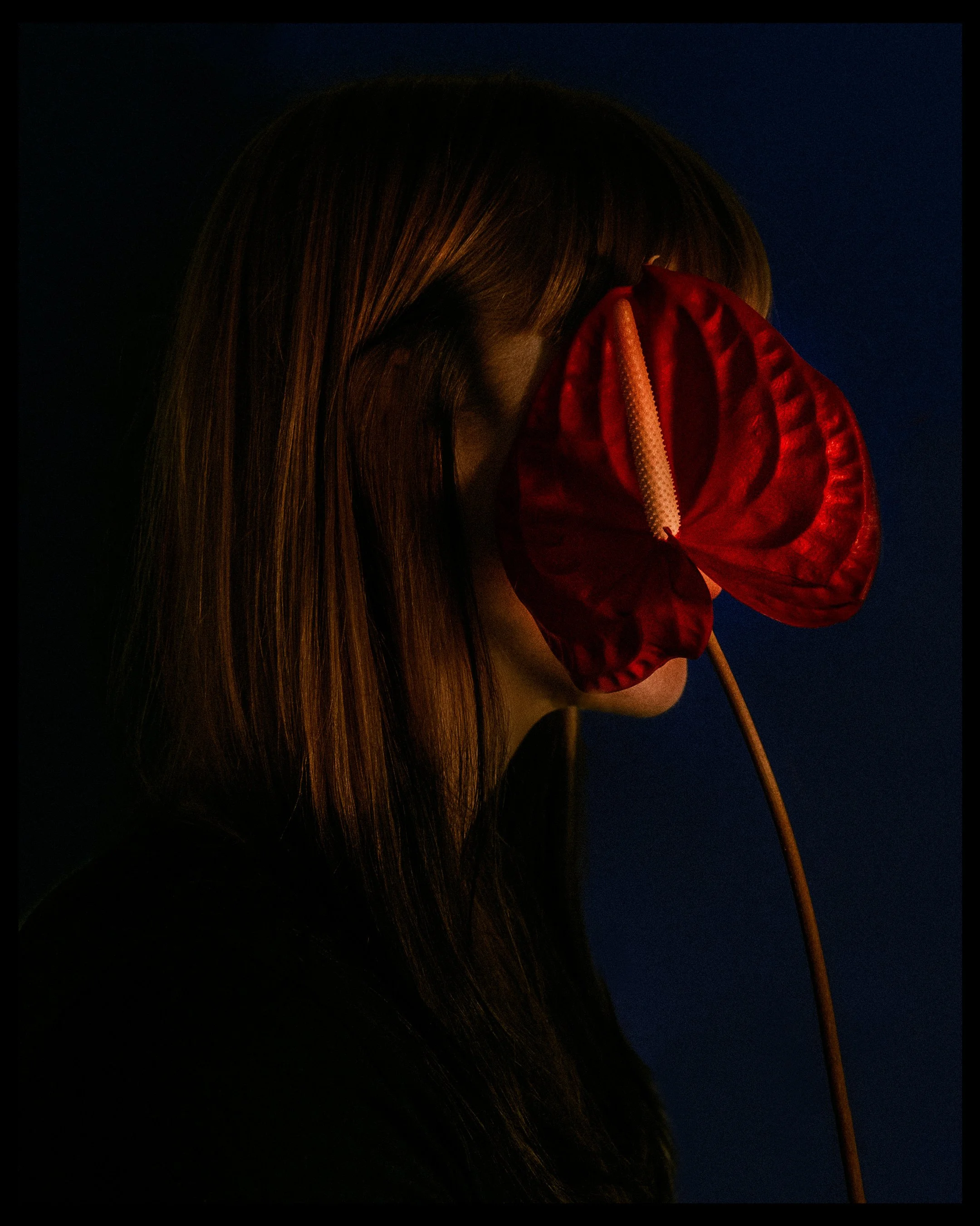 R4.jpg