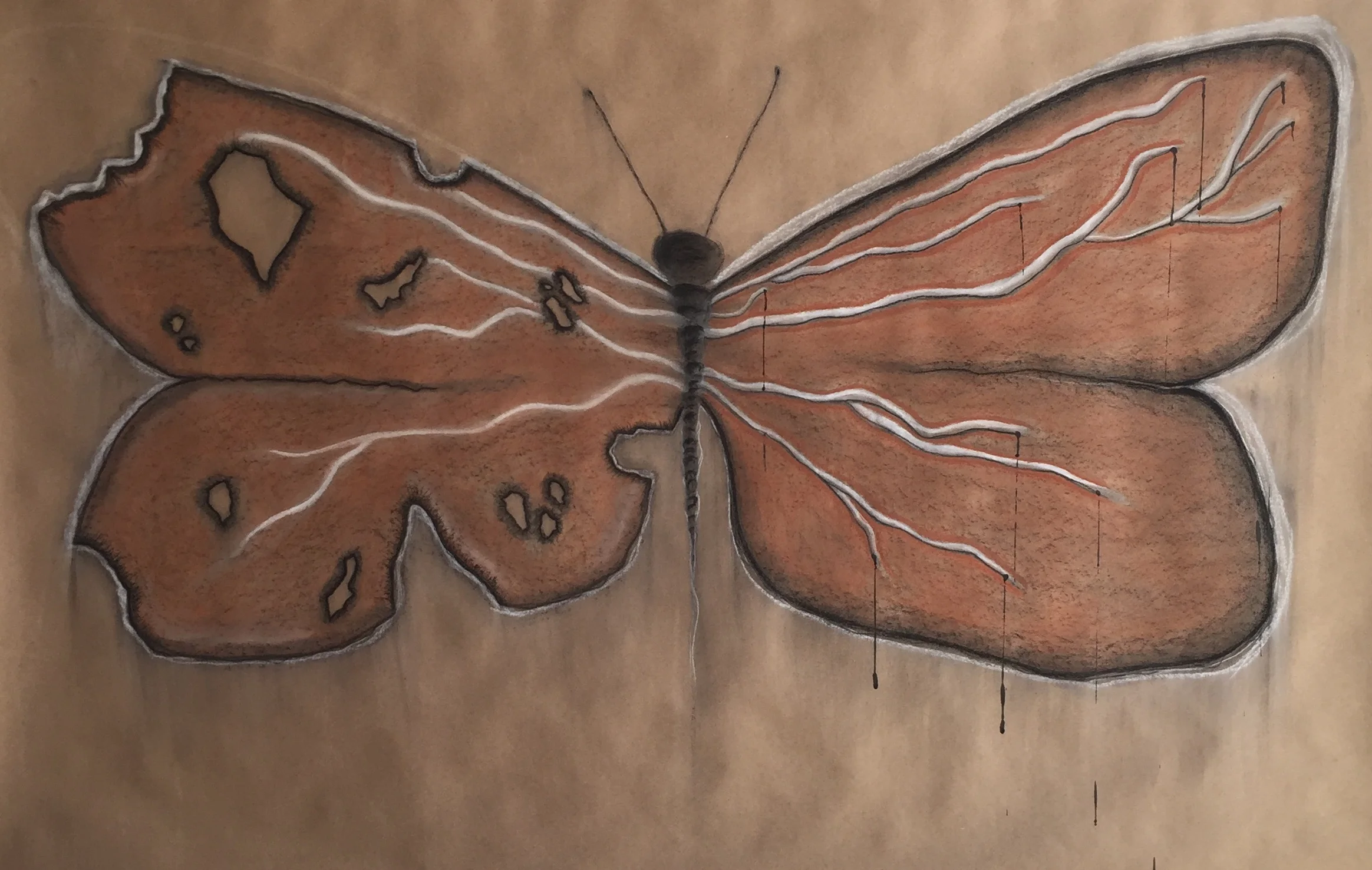 BeautifullyDrained- Charcoal on rough paper (91x135 cm).jpg