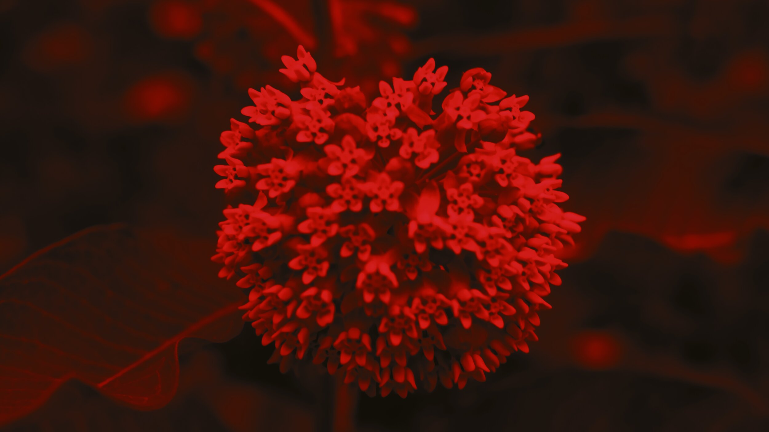 image3.jpeg