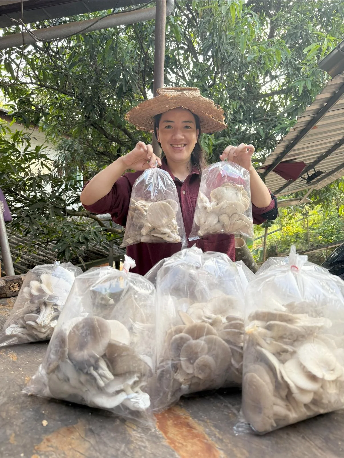 TH mushrooms selling.jpg
