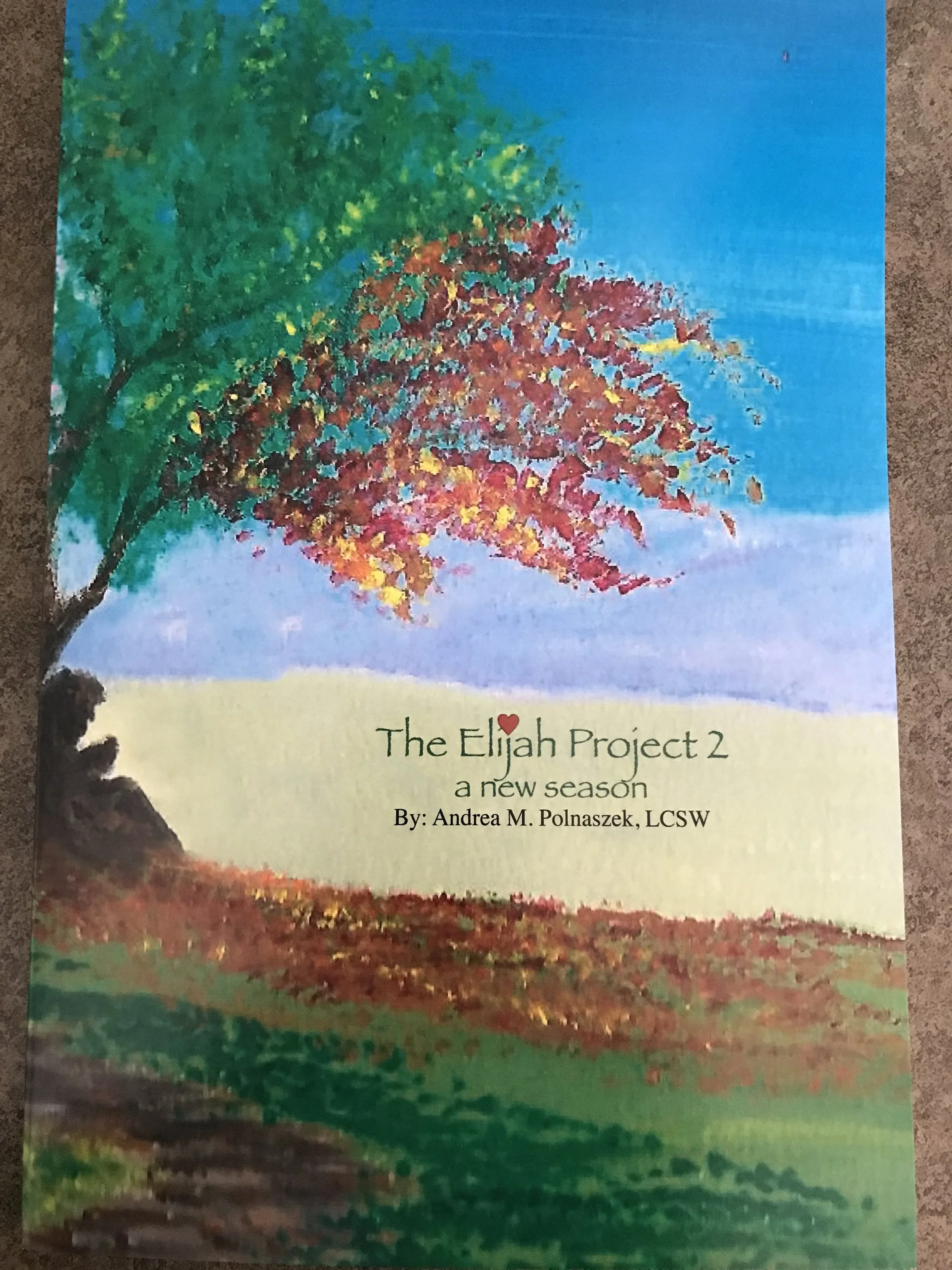 The Elijah Project 2 - A New Season (book)