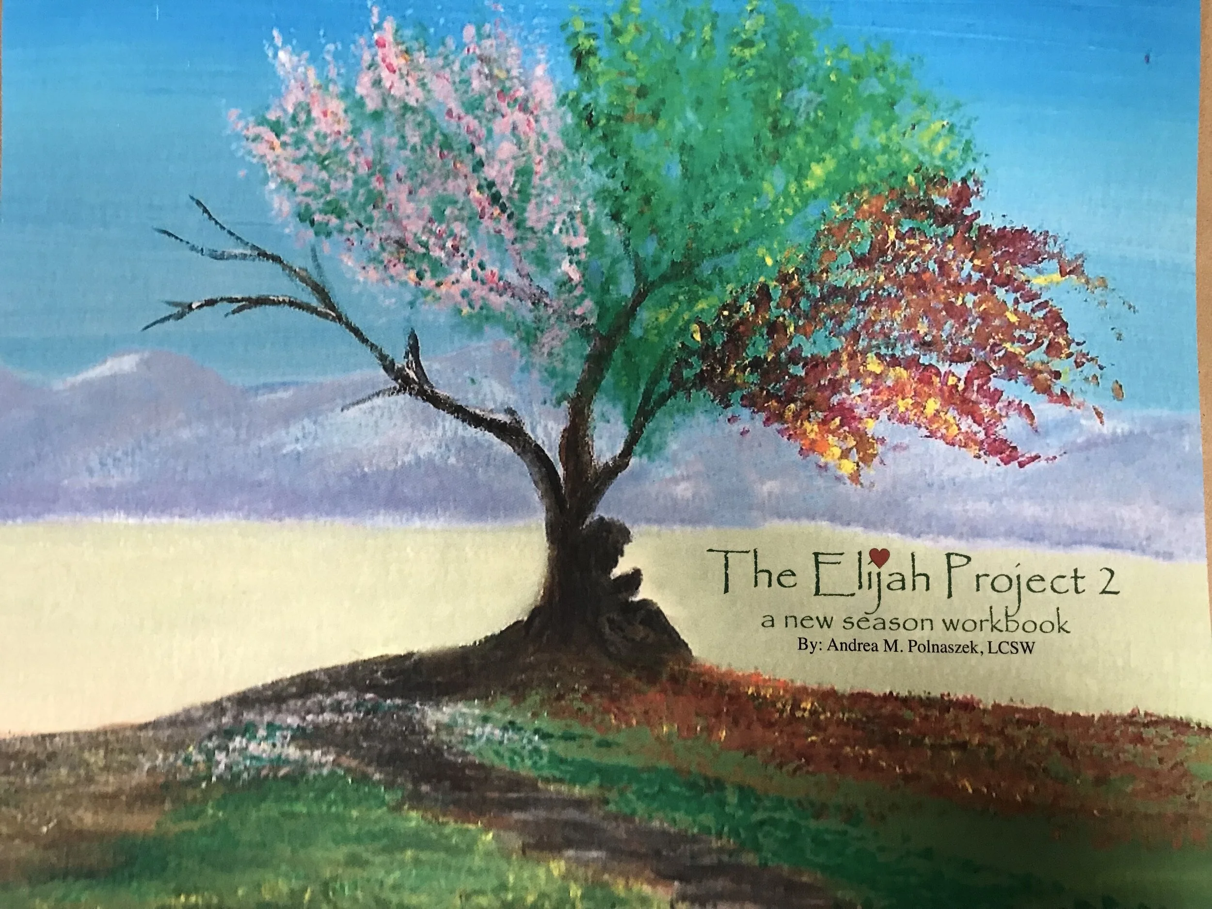 The Elijah Project 2 - Workbook