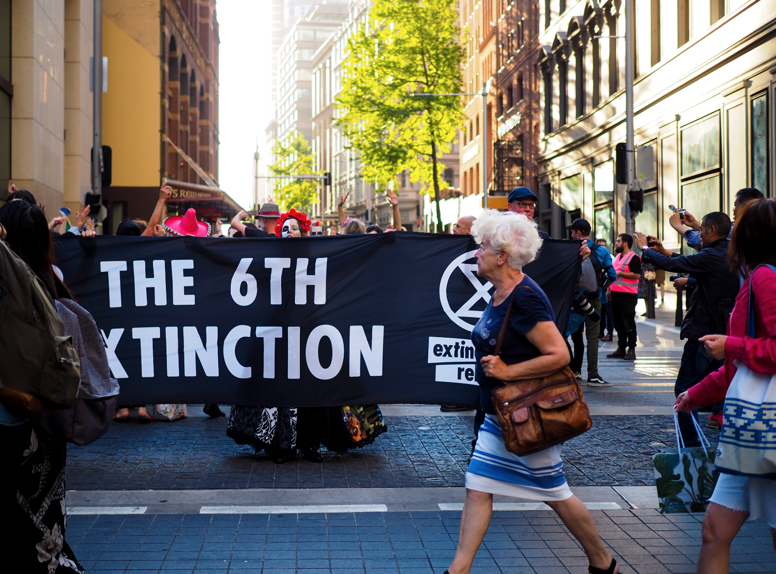 Screen Shot 2019-12-24 at 3.05.50 pm.png