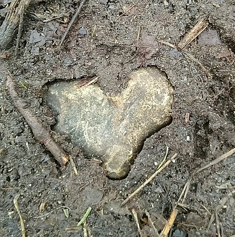 Muddy stone heart