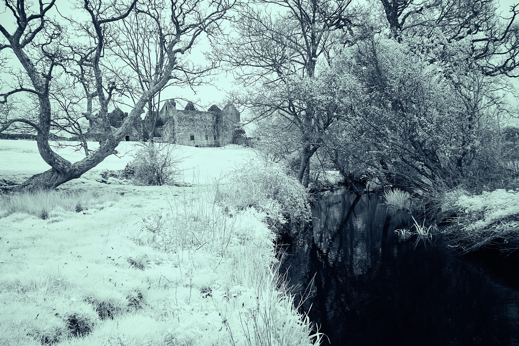 Old Beaupre Castle Wales