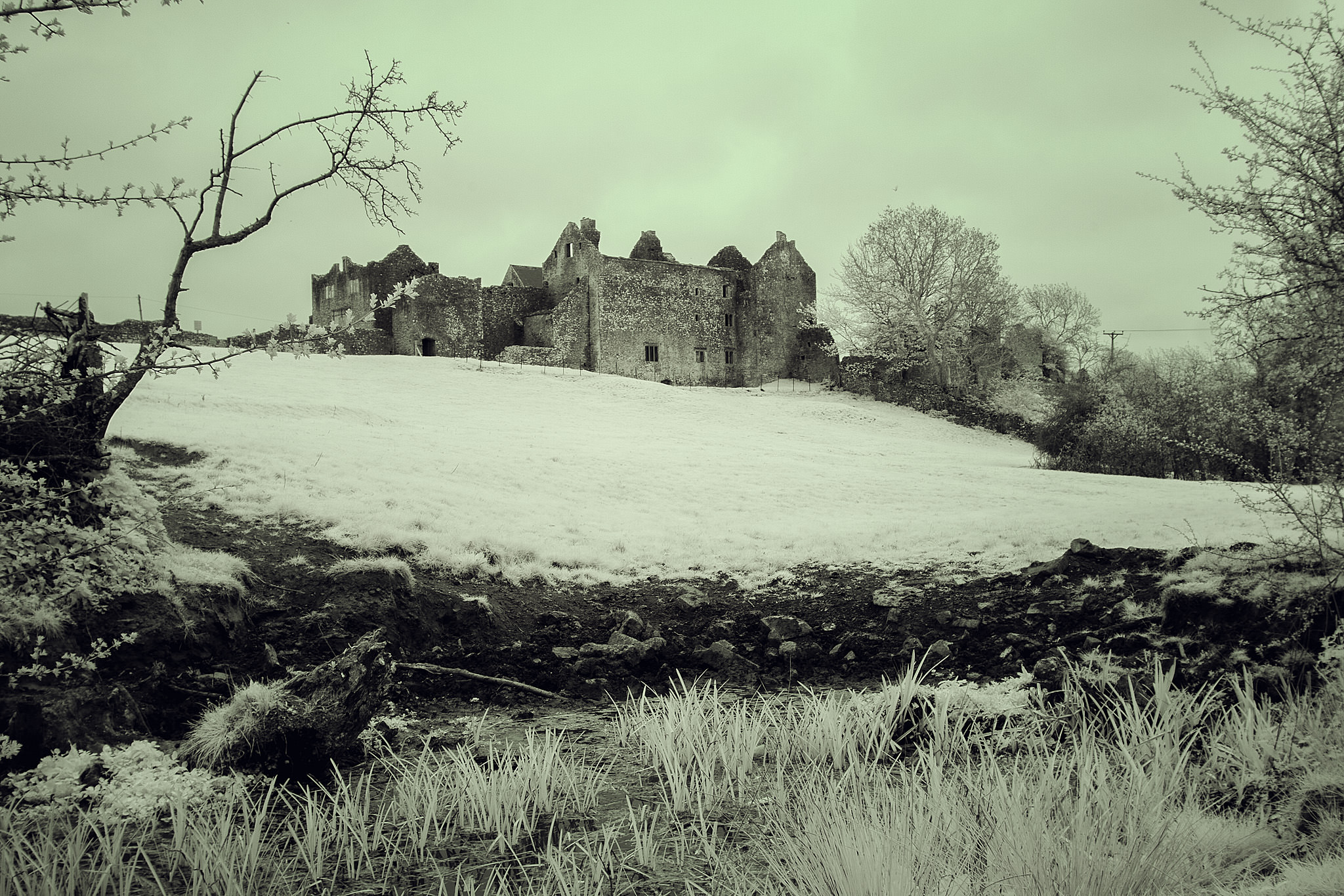 Old Beaupre Castle Glamorgan Wales