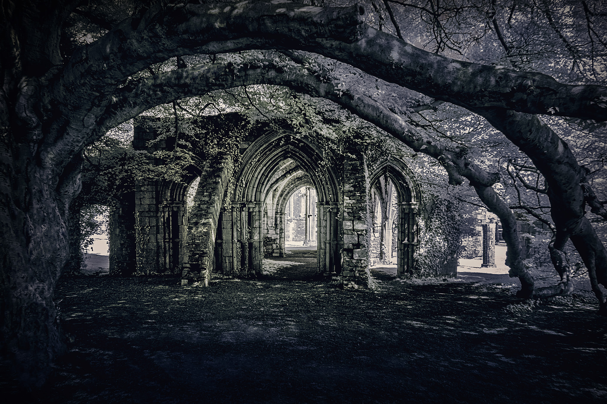 Margam-Abbey-Ruins.jpg