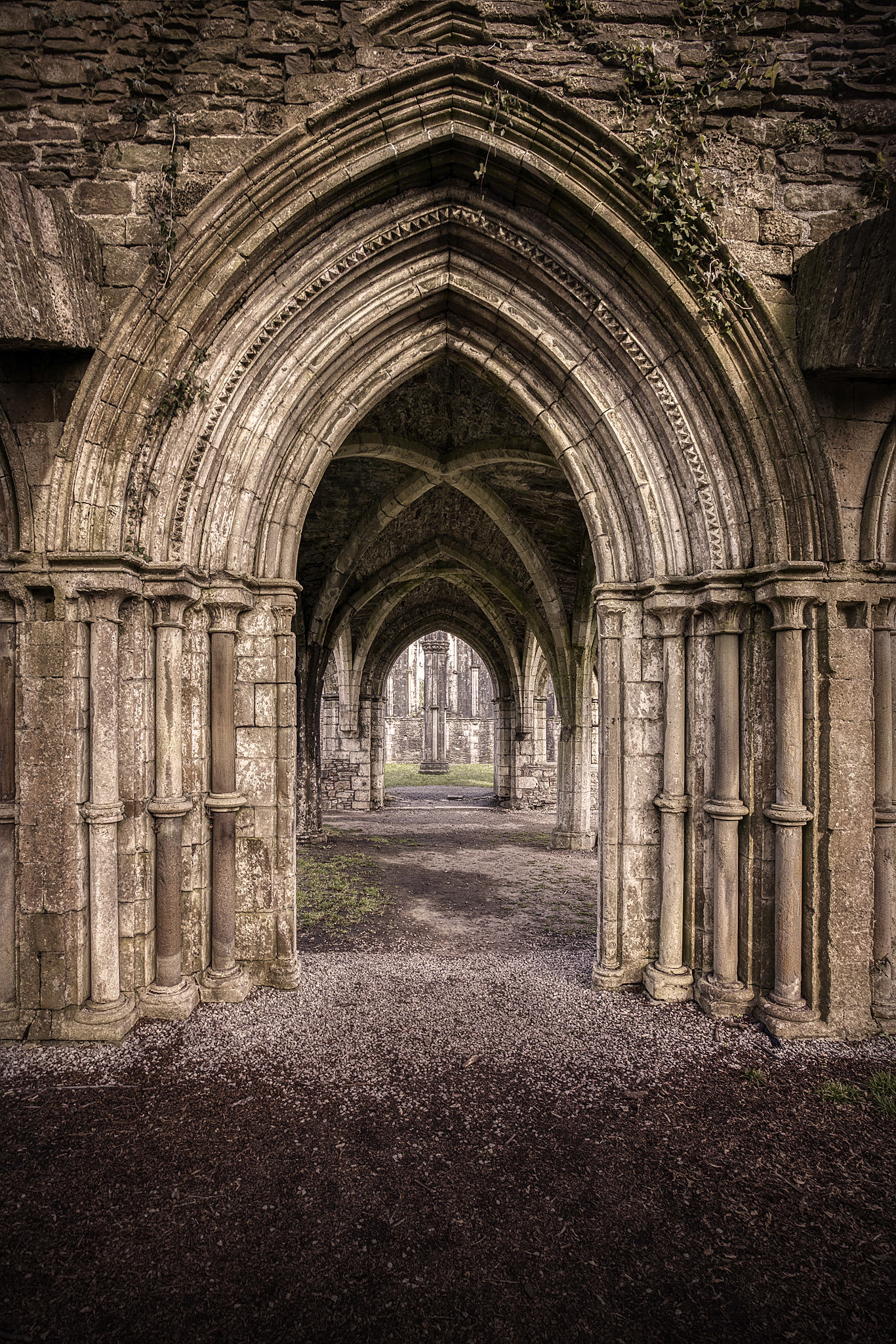 Margam-Abbey-Gothic-Arch.jpg