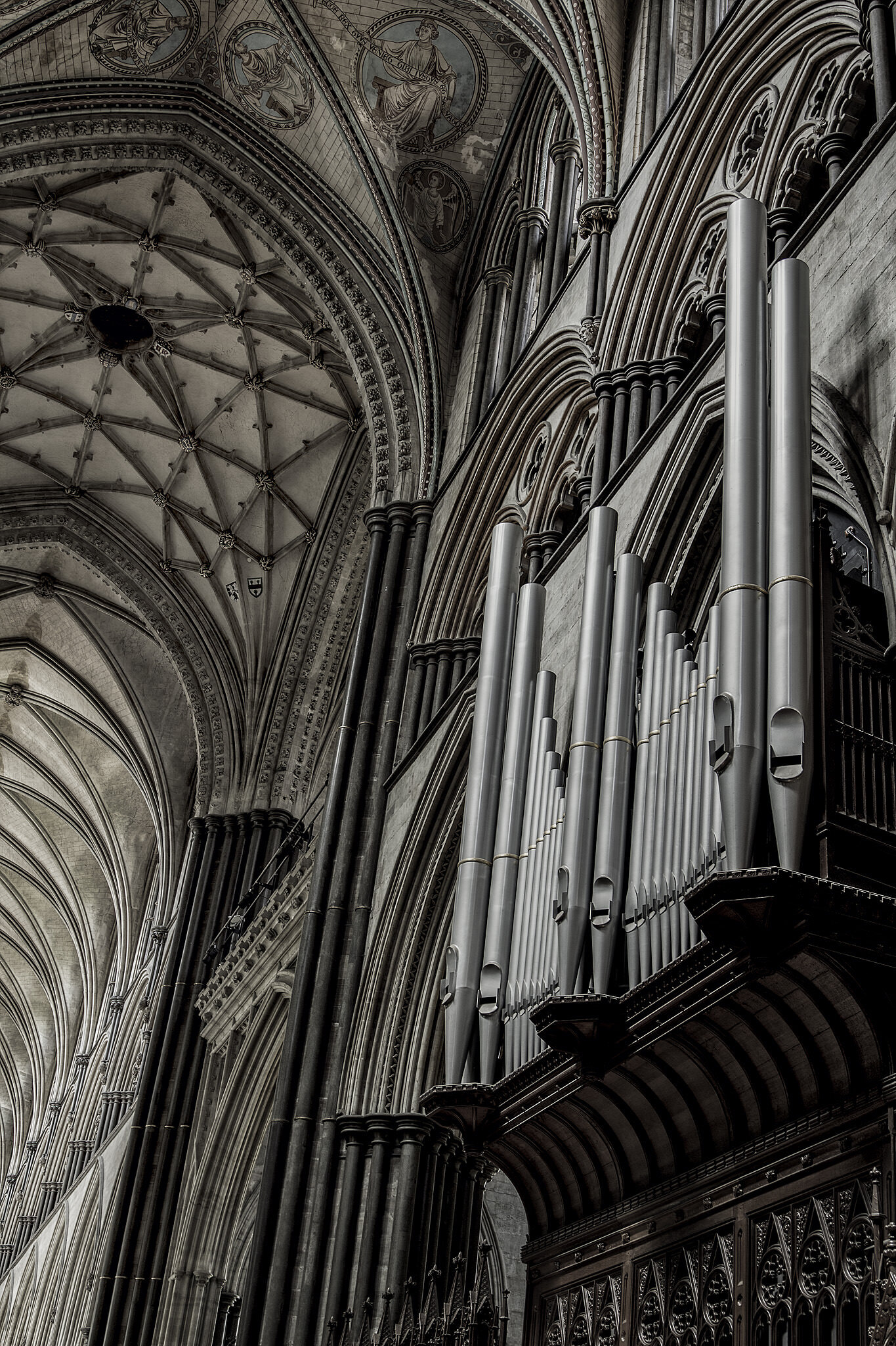 Salisbury-Organ.jpg