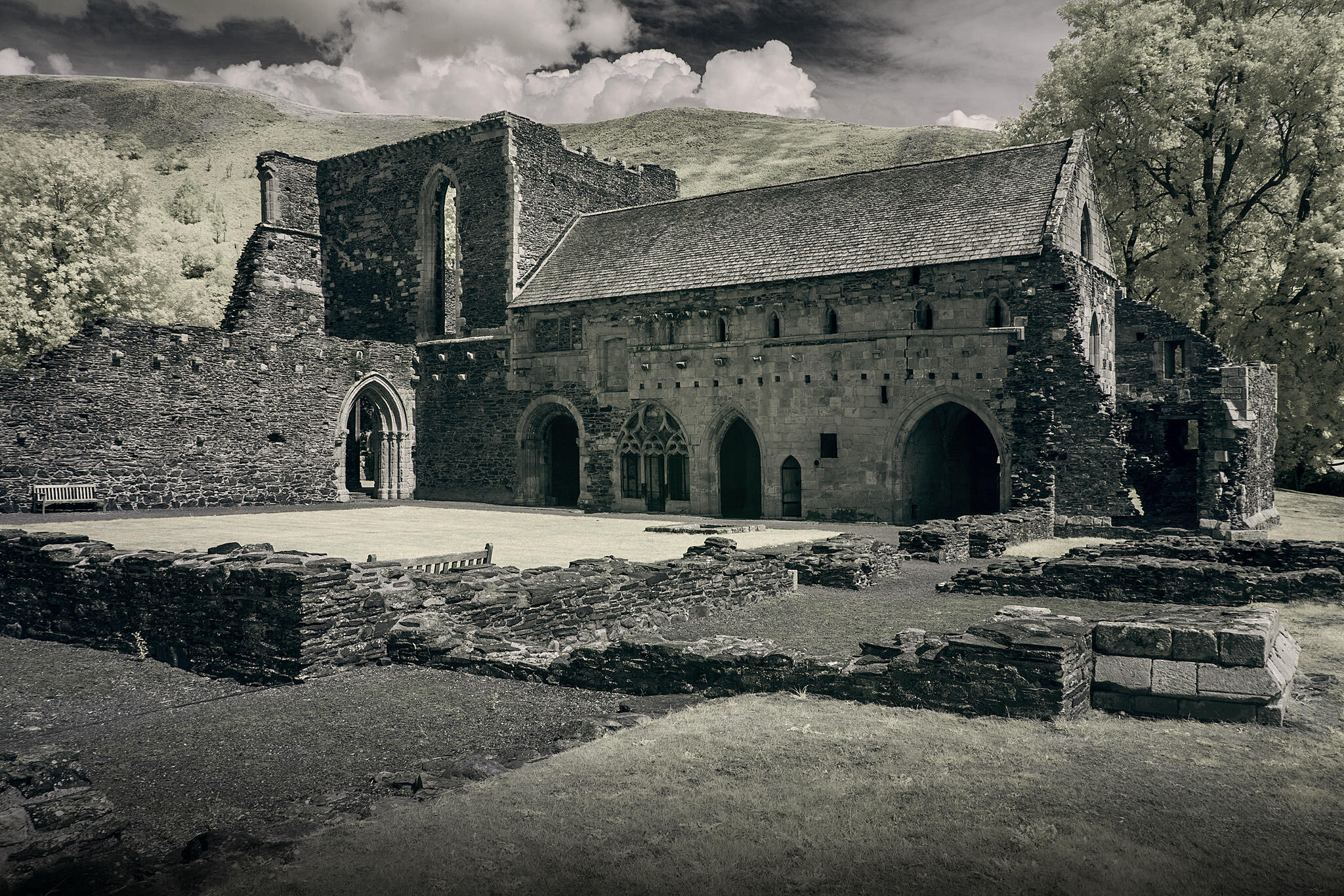 Valle-Crucis-Cloisters.jpg