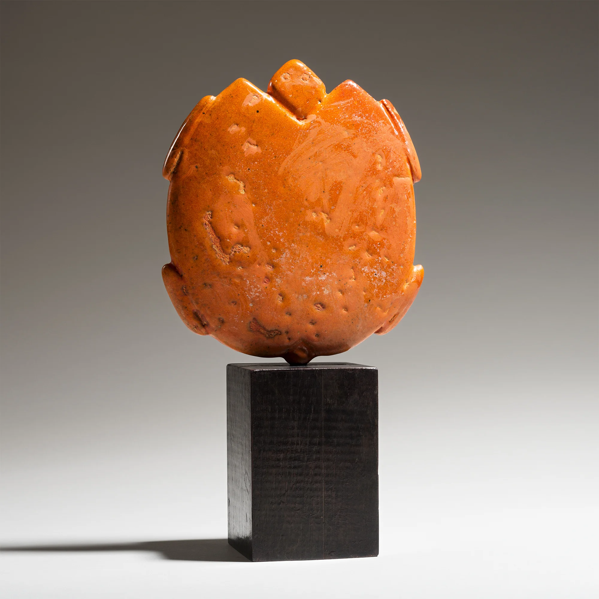 20170901_Ghislaine_tortue plate carrée-orange_2000x2000px.jpg