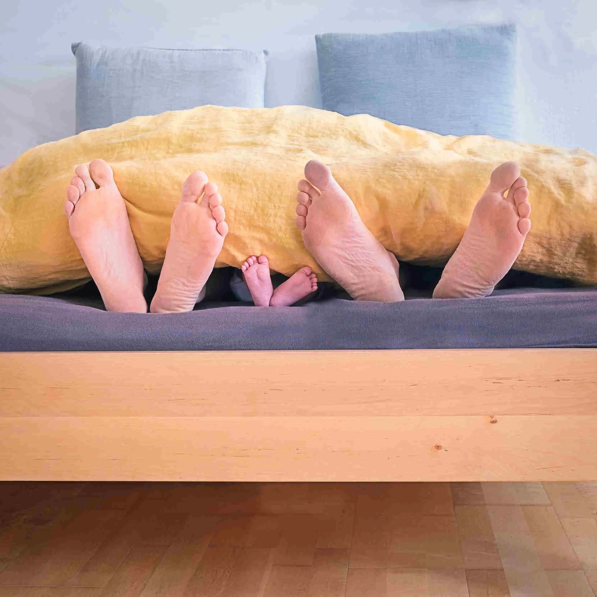 What is covered under homeowner's insurance