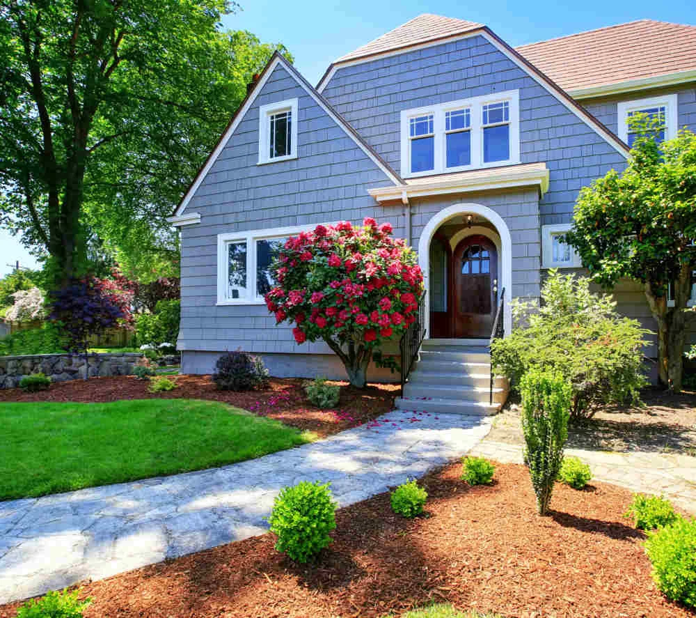 blue-house (1).jpg