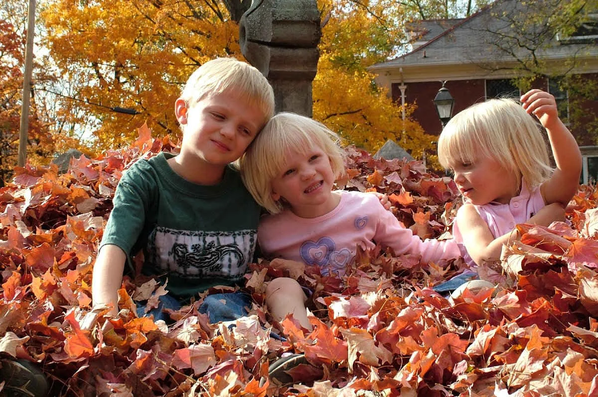 boy with sisters seated in autumn leaves.jpg