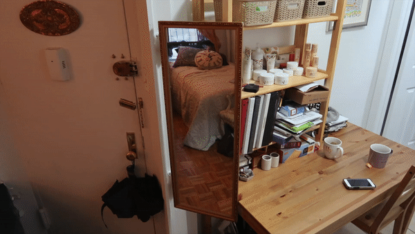 Homeless Mirror_uncropped.gif