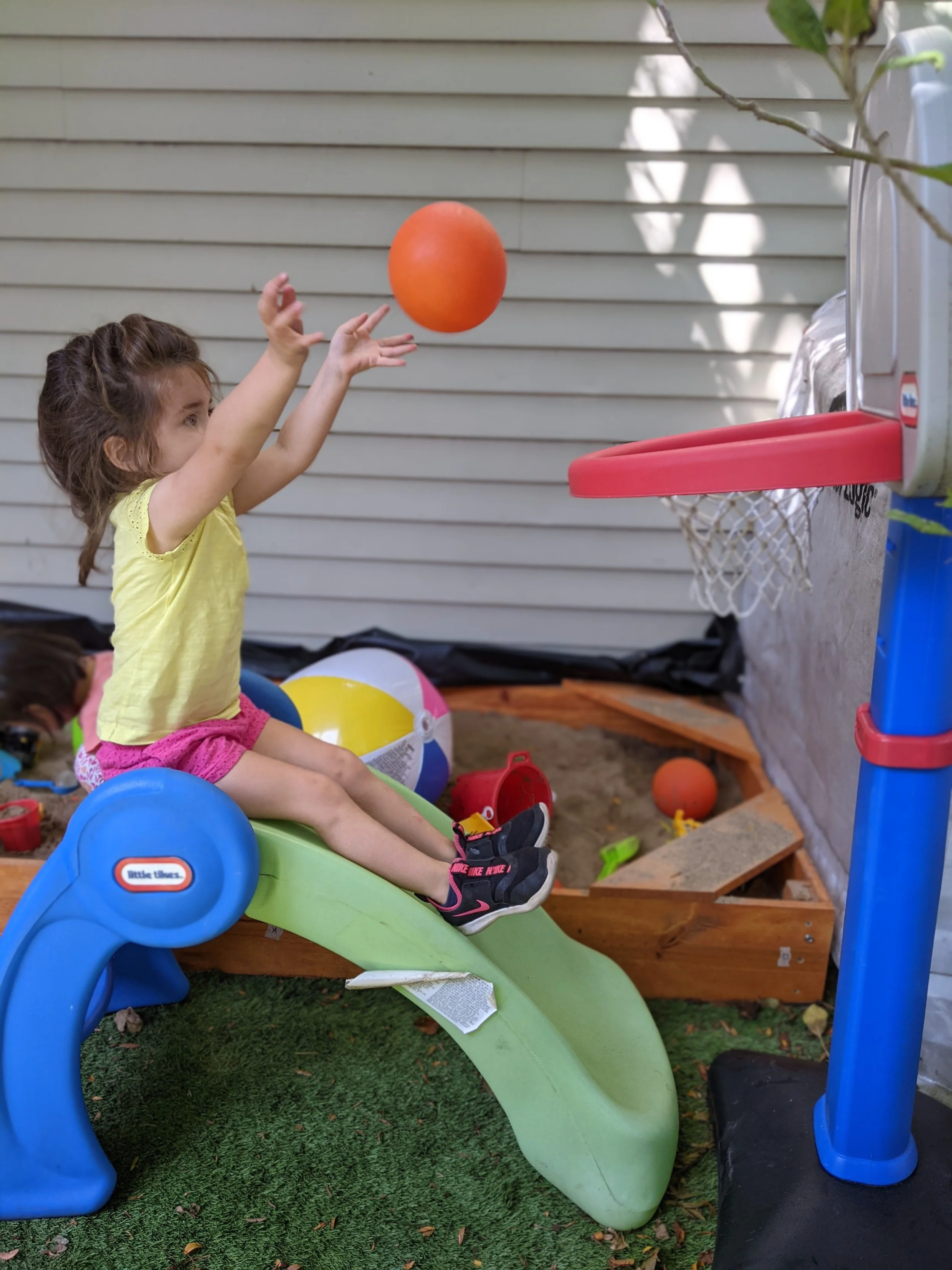 Tuition & Enrollment