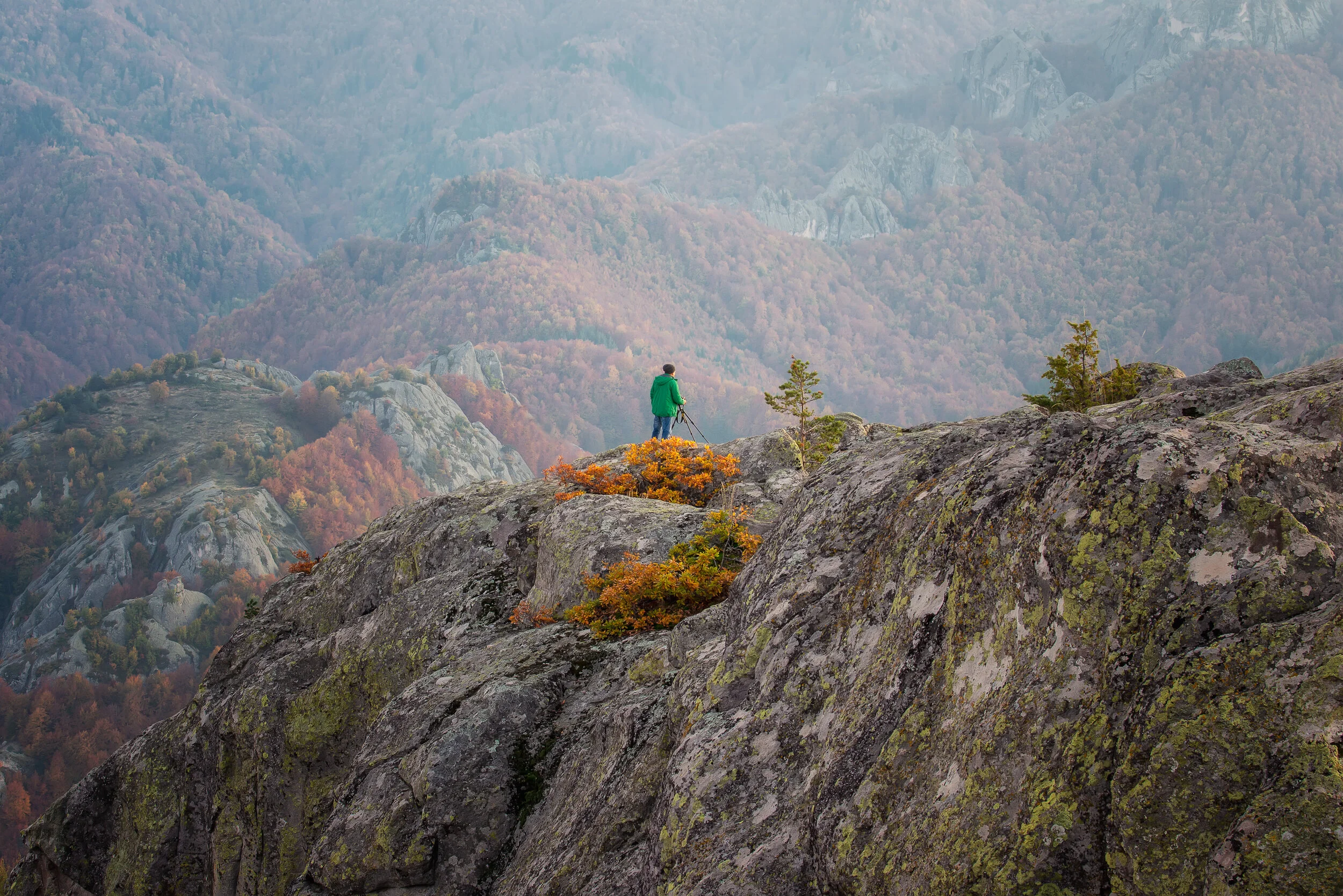 Two Evangelists (Poem)