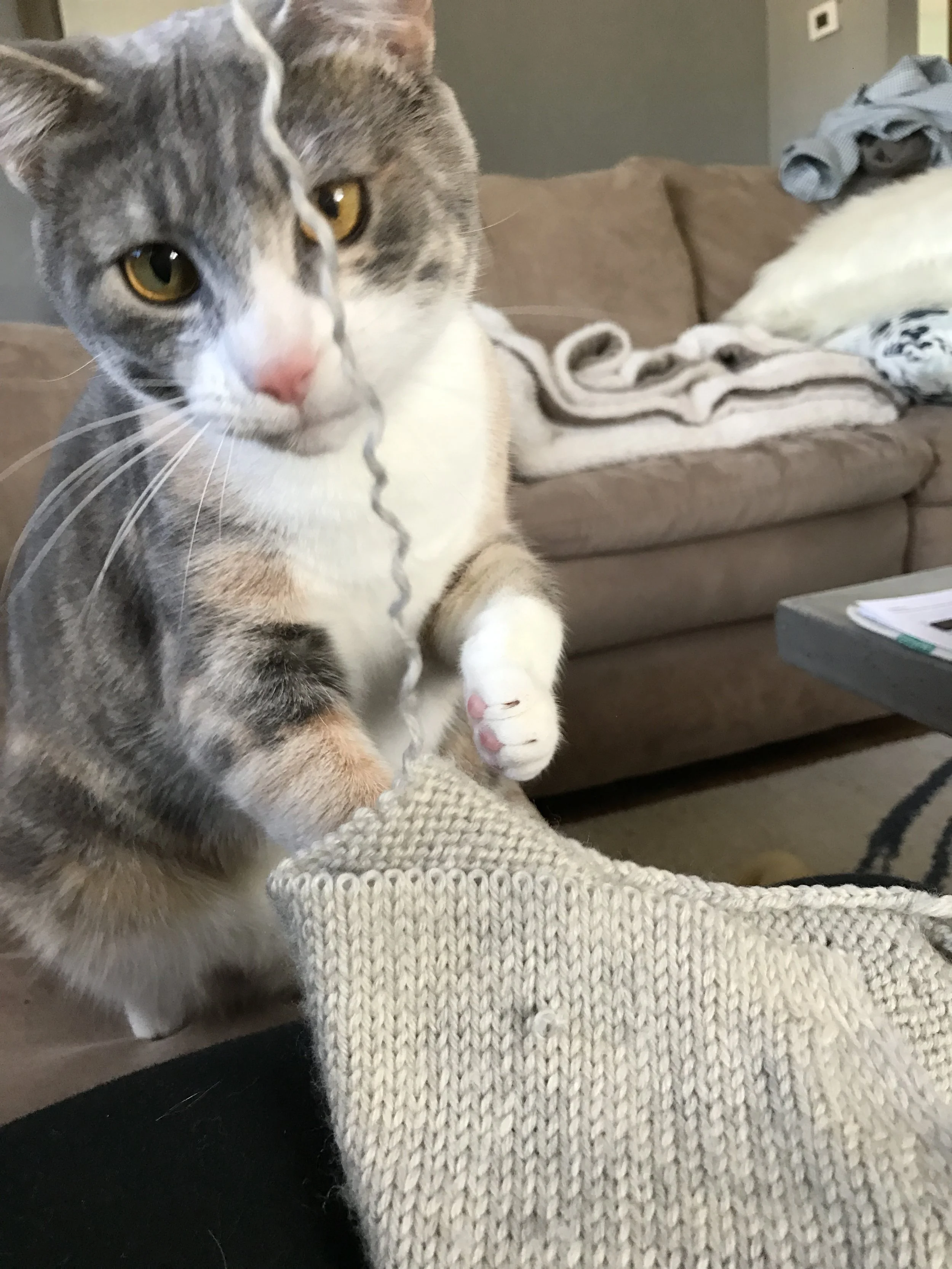 Recycling Yarn: The Yarn