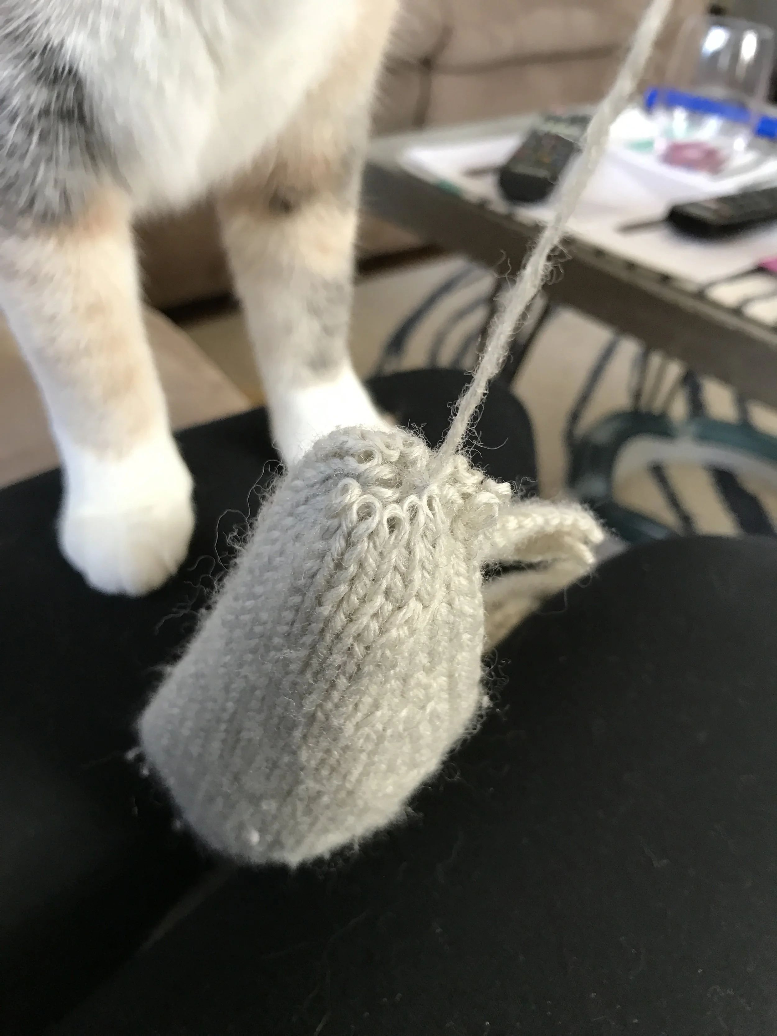 Make sure kitty buddies are fully engaged.