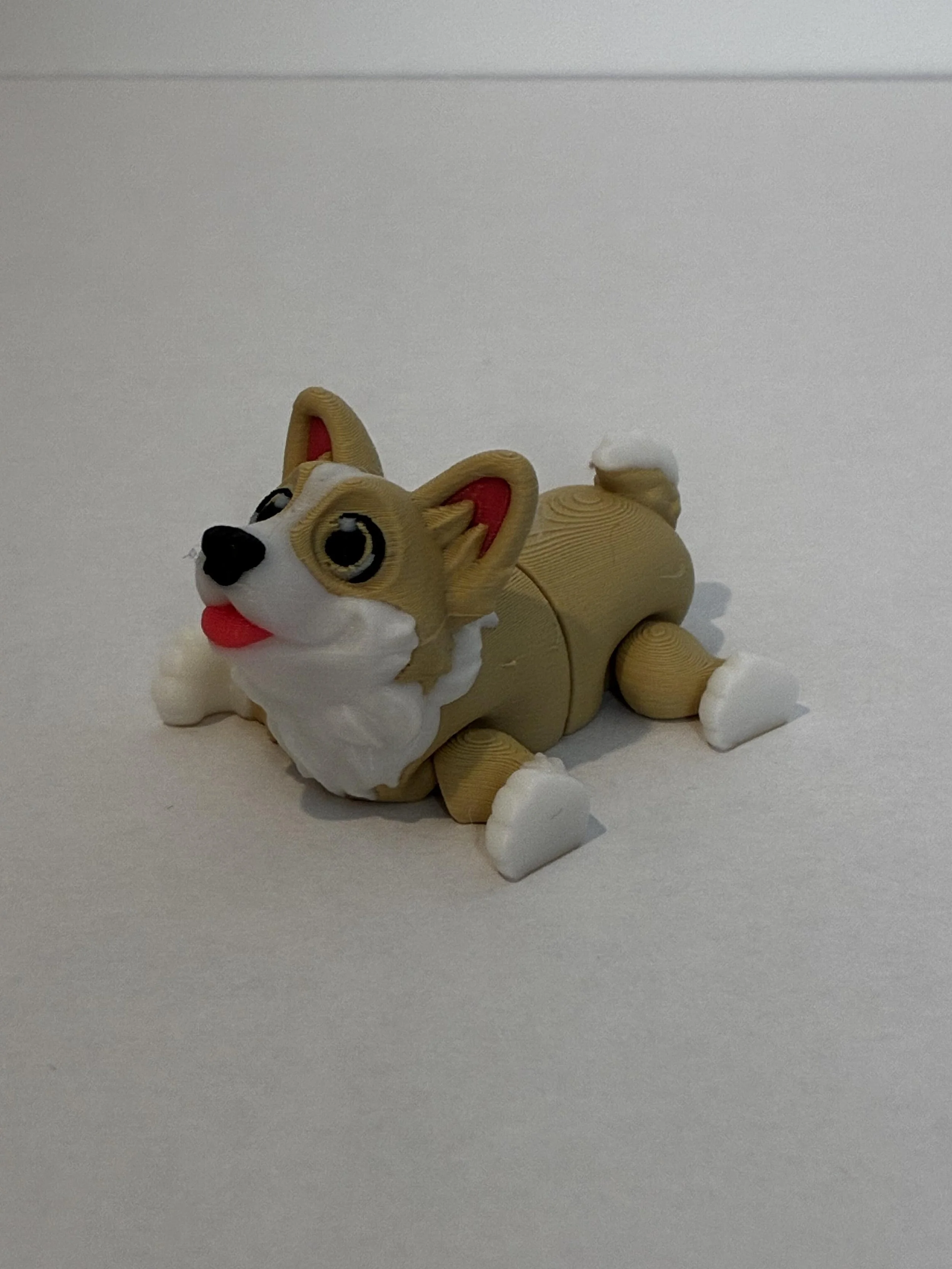 IMG_3667.jpg