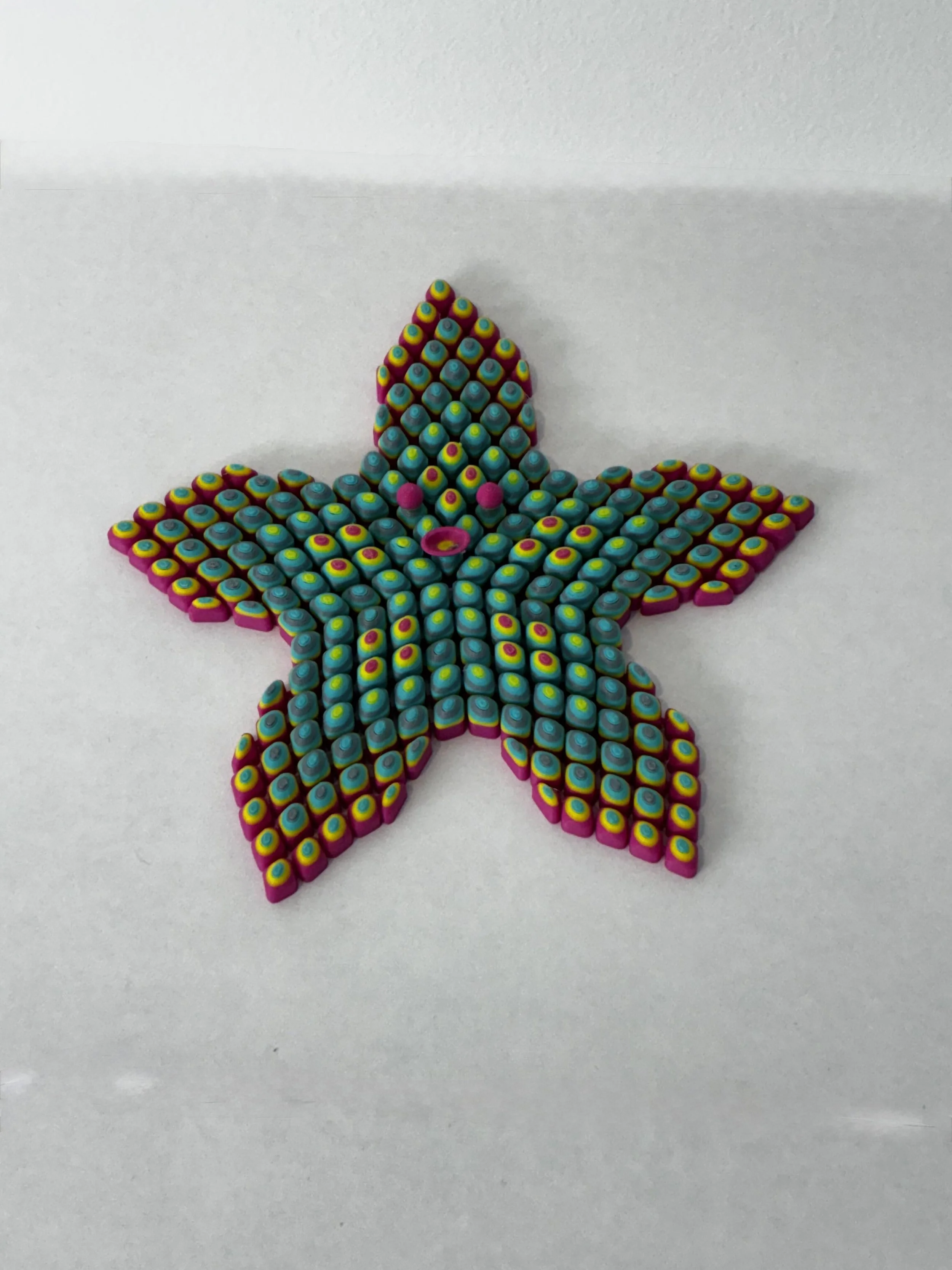 Suzy Starfish