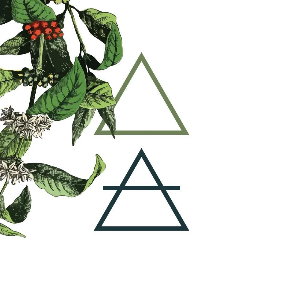 Stacked Cafe x Stack St Physio