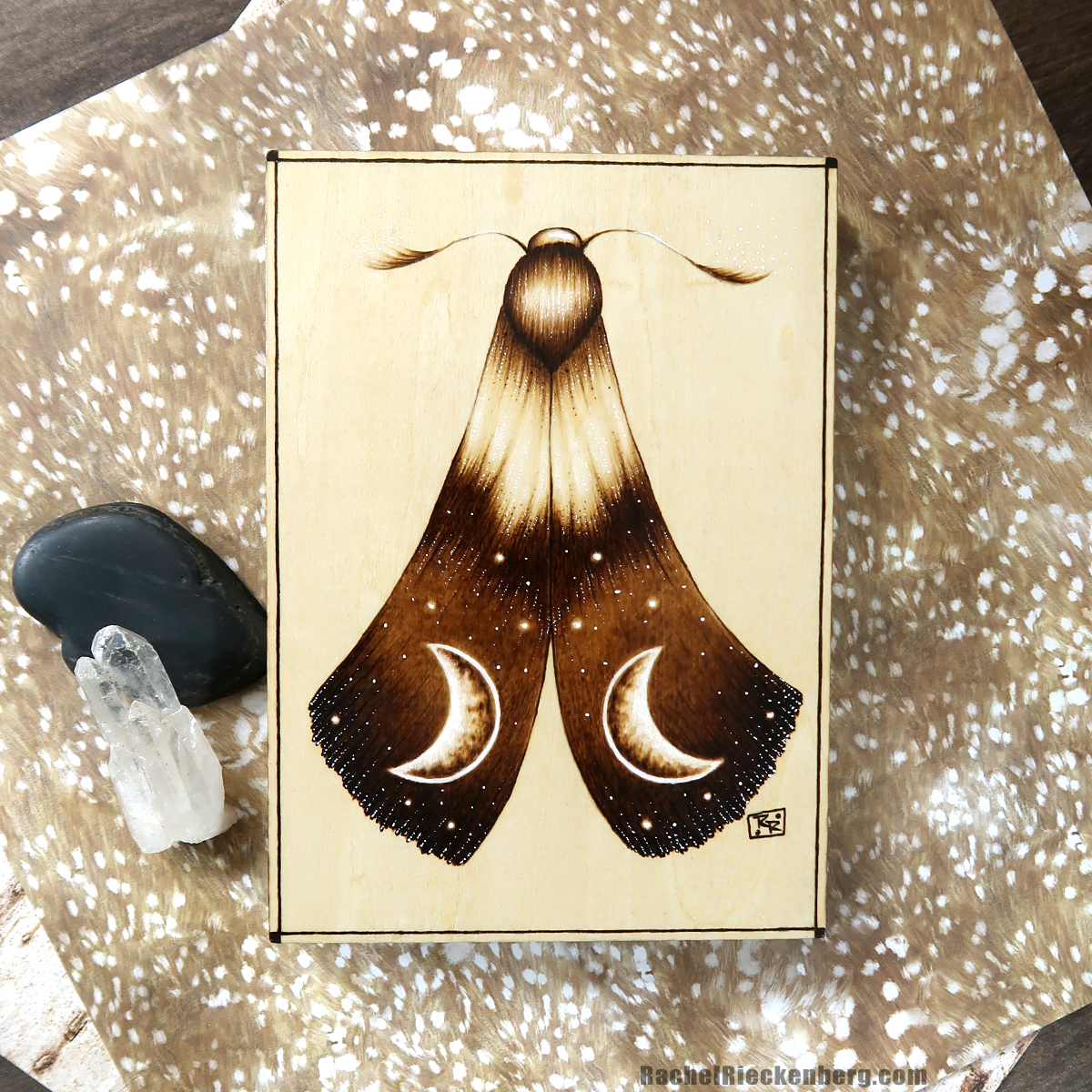 Cosmic Moth #1 - Original Art