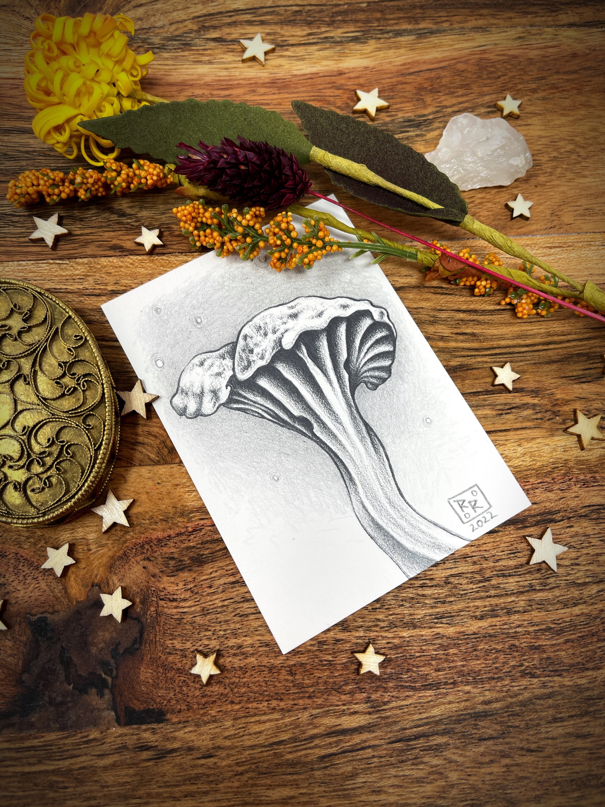 Mushroom Mini 3 Drawing