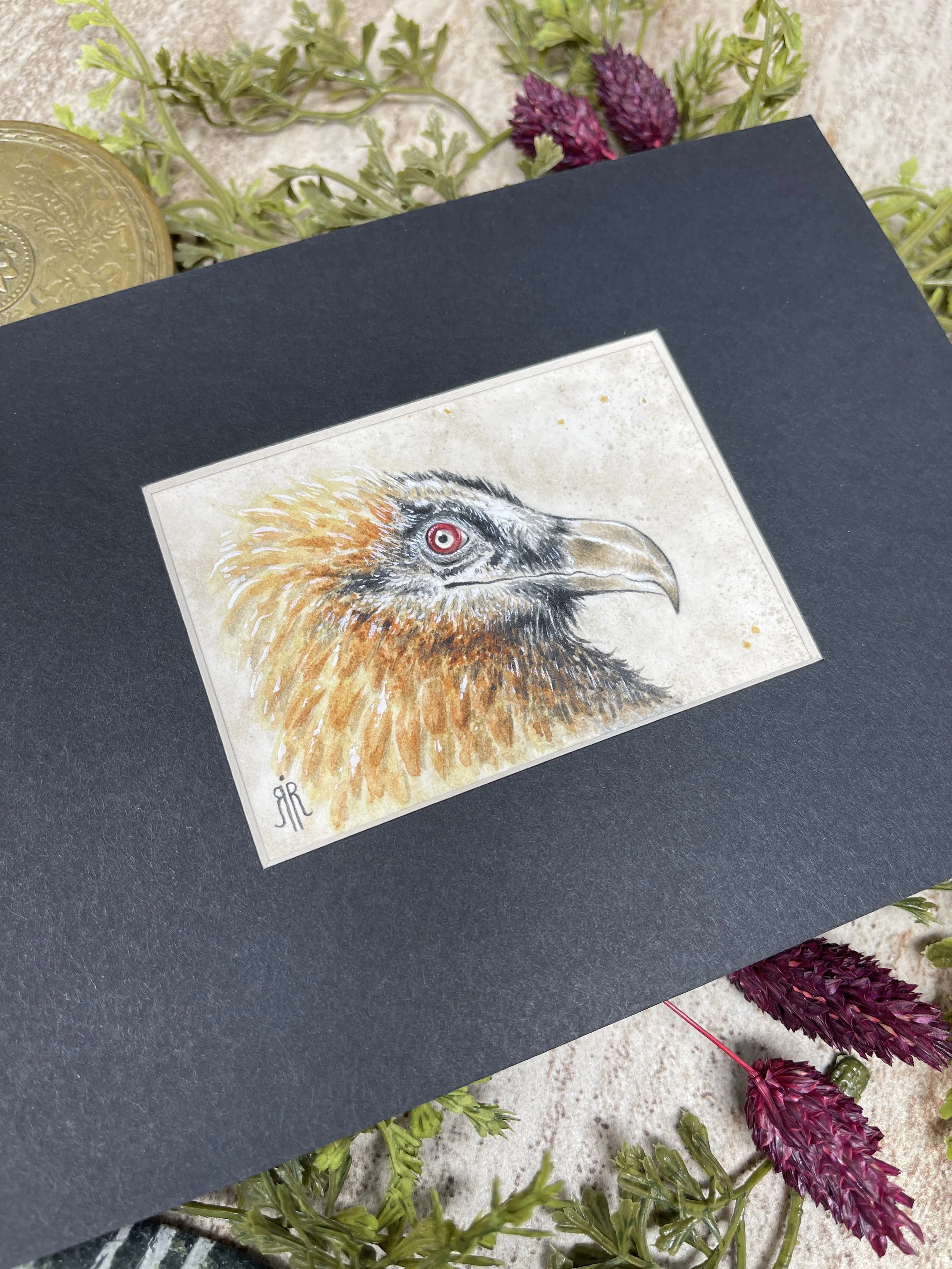 Vulture by Rachel Rieckenberg.JPG