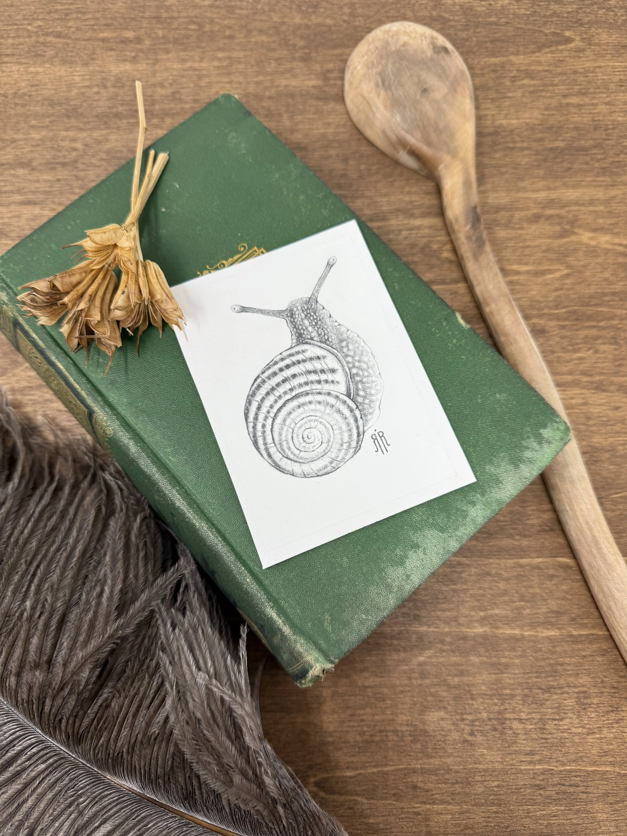 Snailboi_Graphite_Rachel Rieckenberg.JPG