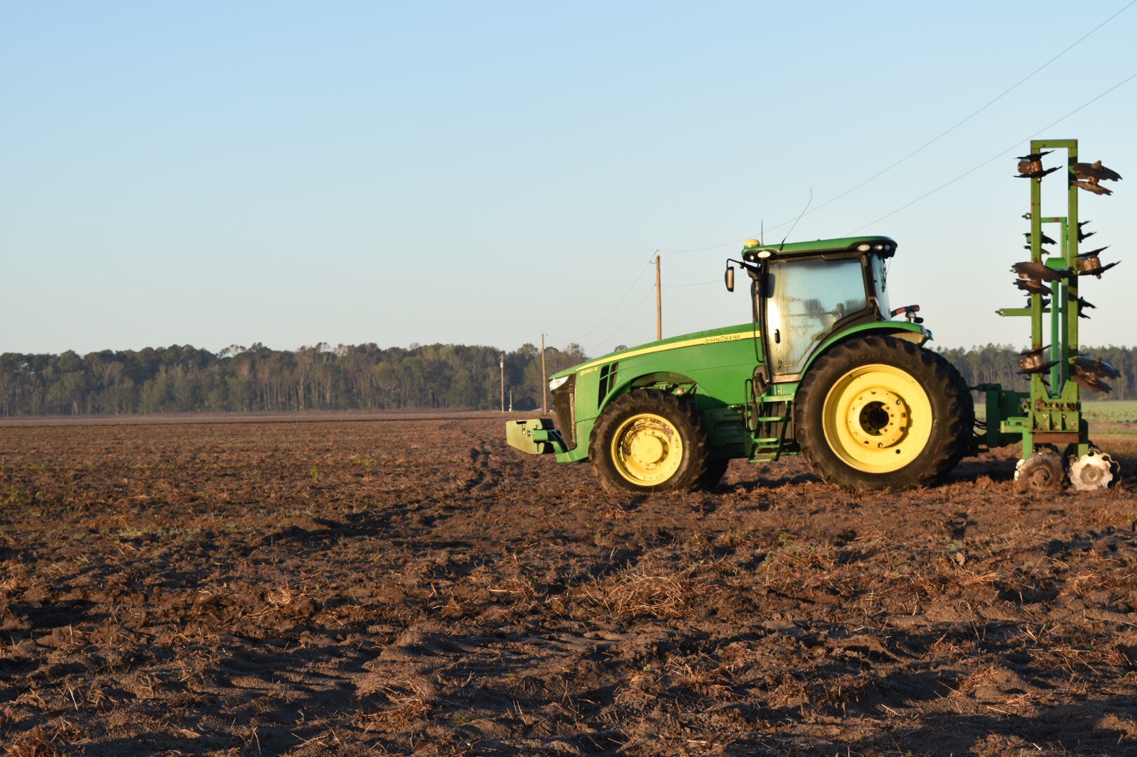  Rising operating costs have cost a lot of St. John's County farmers businesses, but Gin Barnes and Bryan Jones continue to fight the rising prices of operation, fight off the diseases to crops susceptible in Florida, and continue to make profit off 