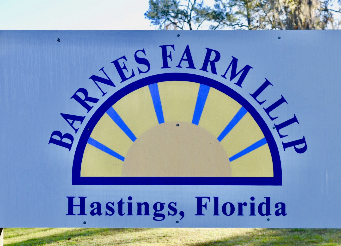  Barnes Farm in Hastings, Florida, has been in the Barnes family for five generations.&nbsp; 