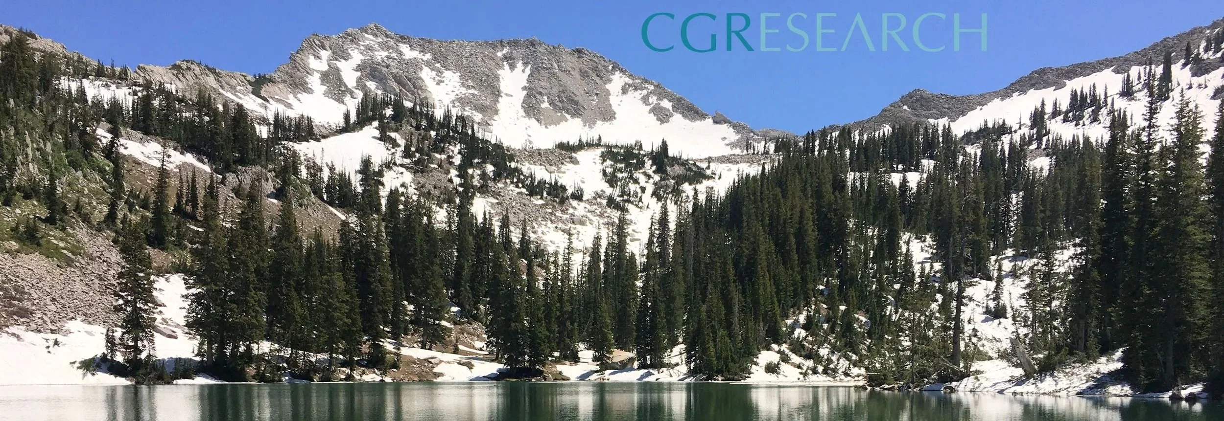 Background CGR copy 2.jpg