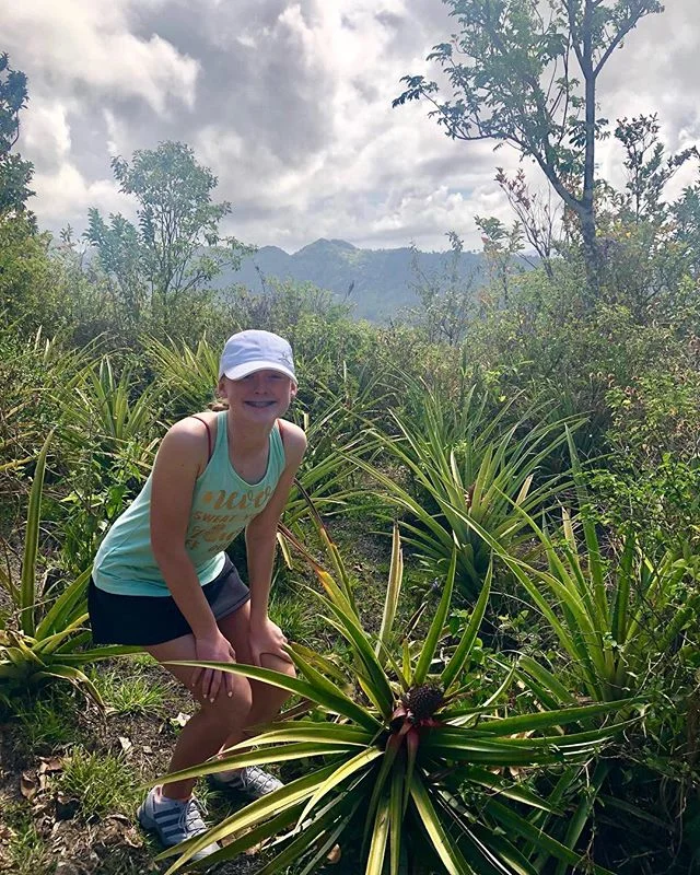Still love my pineapples! Found out today that it takes 12 months to grow a single pineapple. #pineapple #chefkatelynrickert 🍍