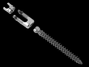 Machined Spinal Assembly