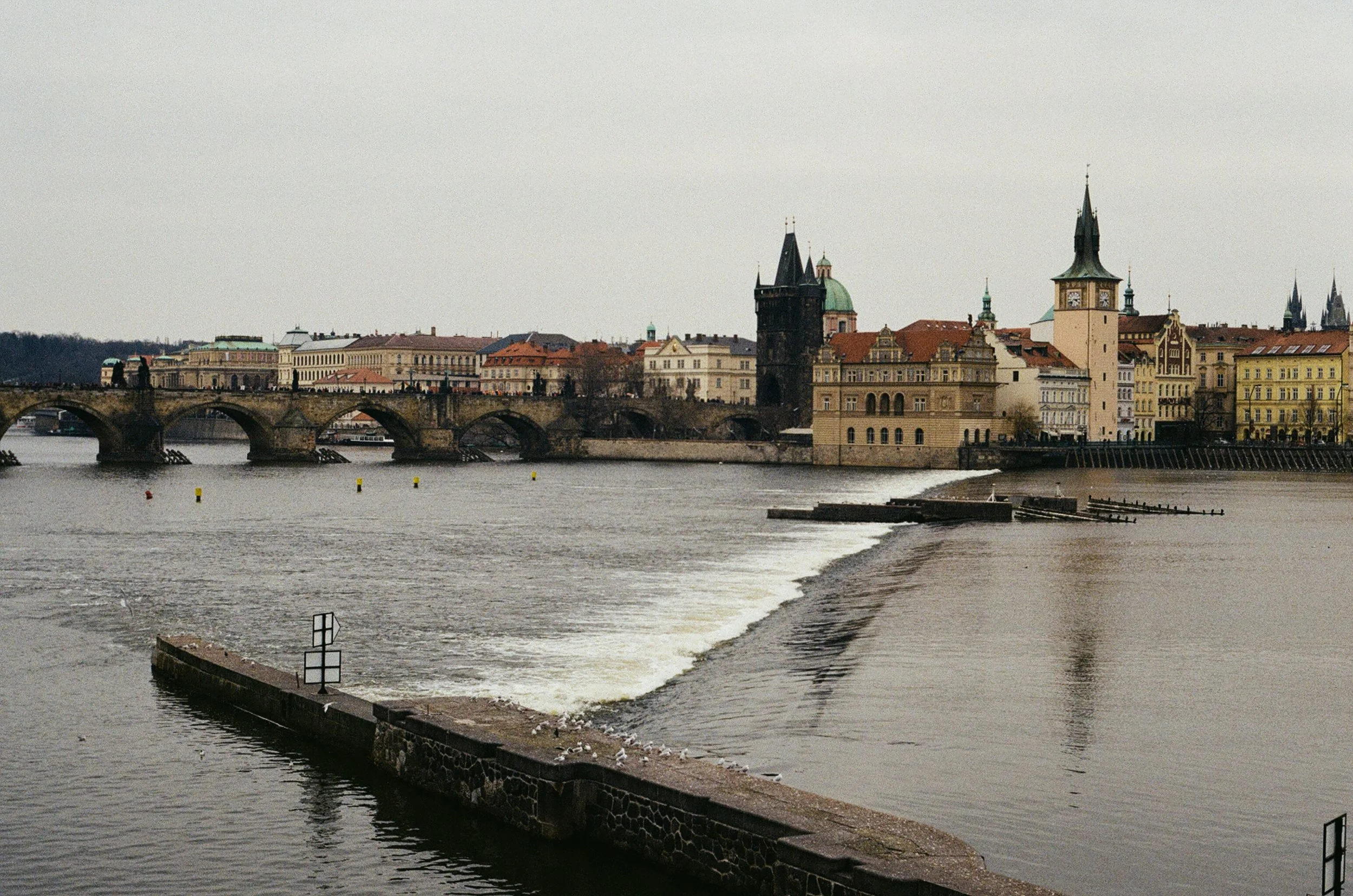 82600015.jpg