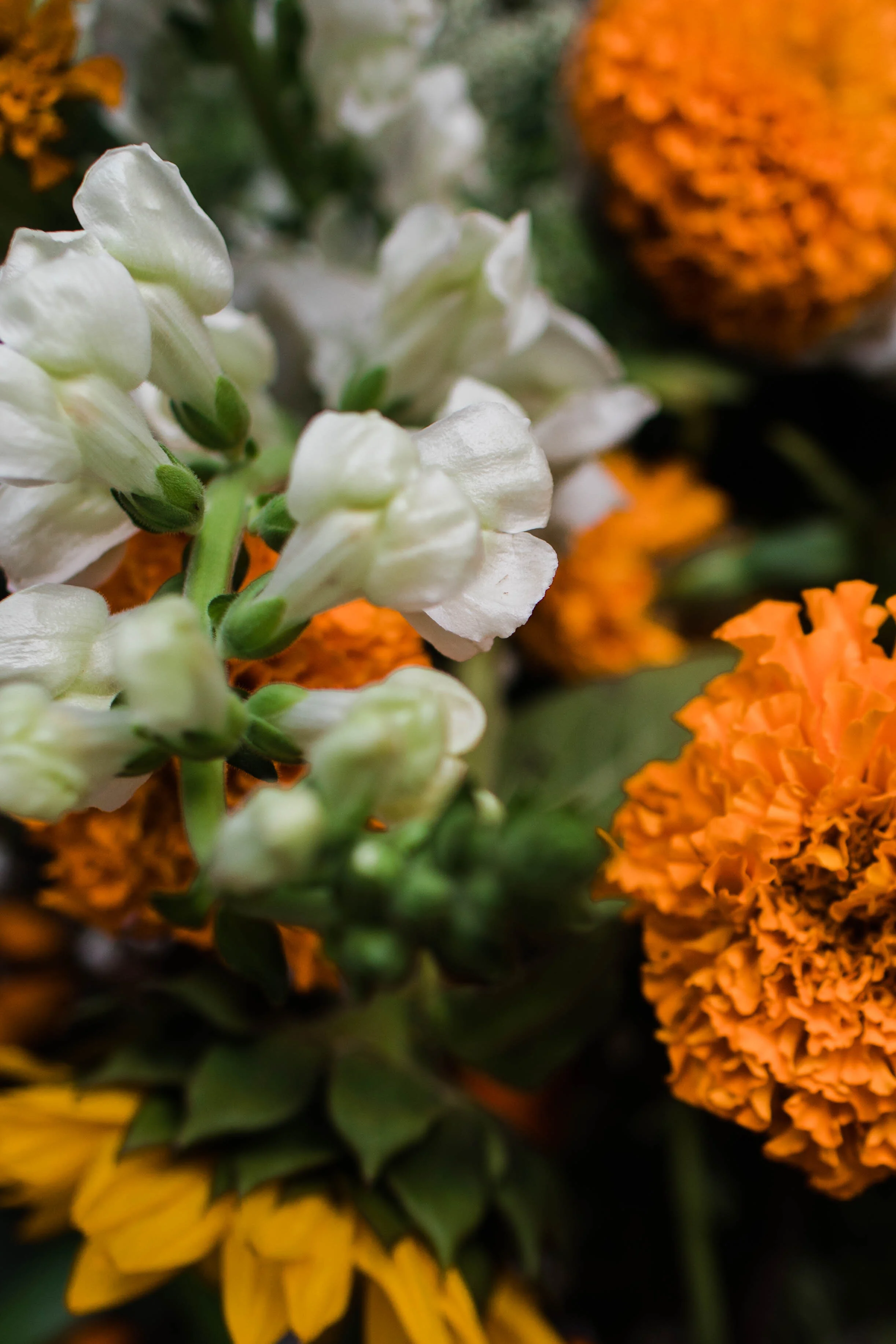30a-wedding-photographer-1-3.jpg